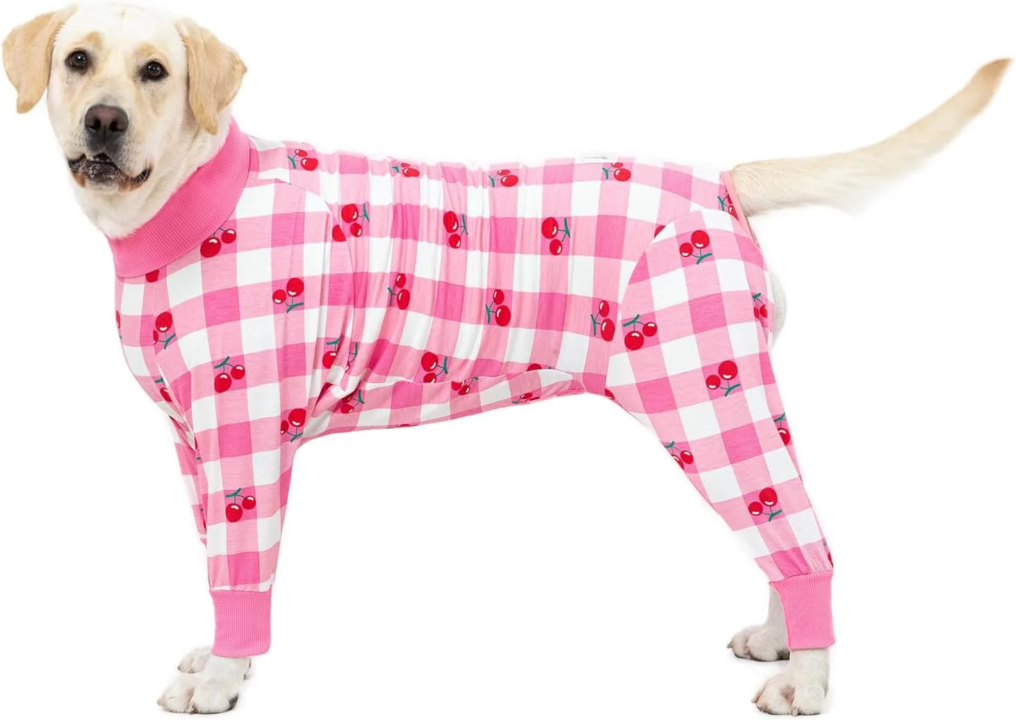 لباس نقاهت سگ صورتی مناسب سگ های ماده و نر بعد از جراحی، لباس یکسره سگ سایز متوسط و بزرگ، لباس نقاهت سبک وزن سگ برای جلوگیری از ریزش مو و لیسیدن زخم جراحی، لباس خواب سگ، پوشش کامل شکم لباس نقاهت سگ صورتی مناسب سگ های ماده و نر بعد از جراحی، لباس یکسره سگ سایز متوسط و بزرگ، لباس نقاهت سبک وزن سگ برای جلوگیری از ریزش مو و لیسیدن زخم جراحی، لباس خواب سگ، پوشش کامل شکم