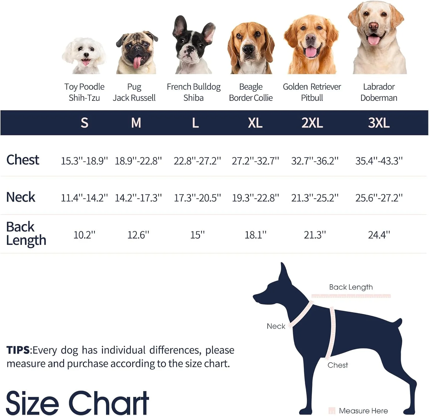 لباس جراحی سگ IECOii با پاها، لباس سرهمی آستین بلند تنفسی سگ، جایگزین مخروطی سگ بعد از جراحی با سوراخ ادرار، لباس نرم سگ برای نقاهت بعد از جراحی عقیم سازی، جلوگیری از لیسیدن، آبی، 2XL لباس جراحی سگ IECOii با پاها، لباس سرهمی آستین بلند تنفسی سگ، جایگزین مخروطی سگ بعد از جراحی با سوراخ ادرار، لباس نرم سگ برای نقاهت بعد از جراحی عقیم سازی، جلوگیری از لیسیدن، آبی، 2XL