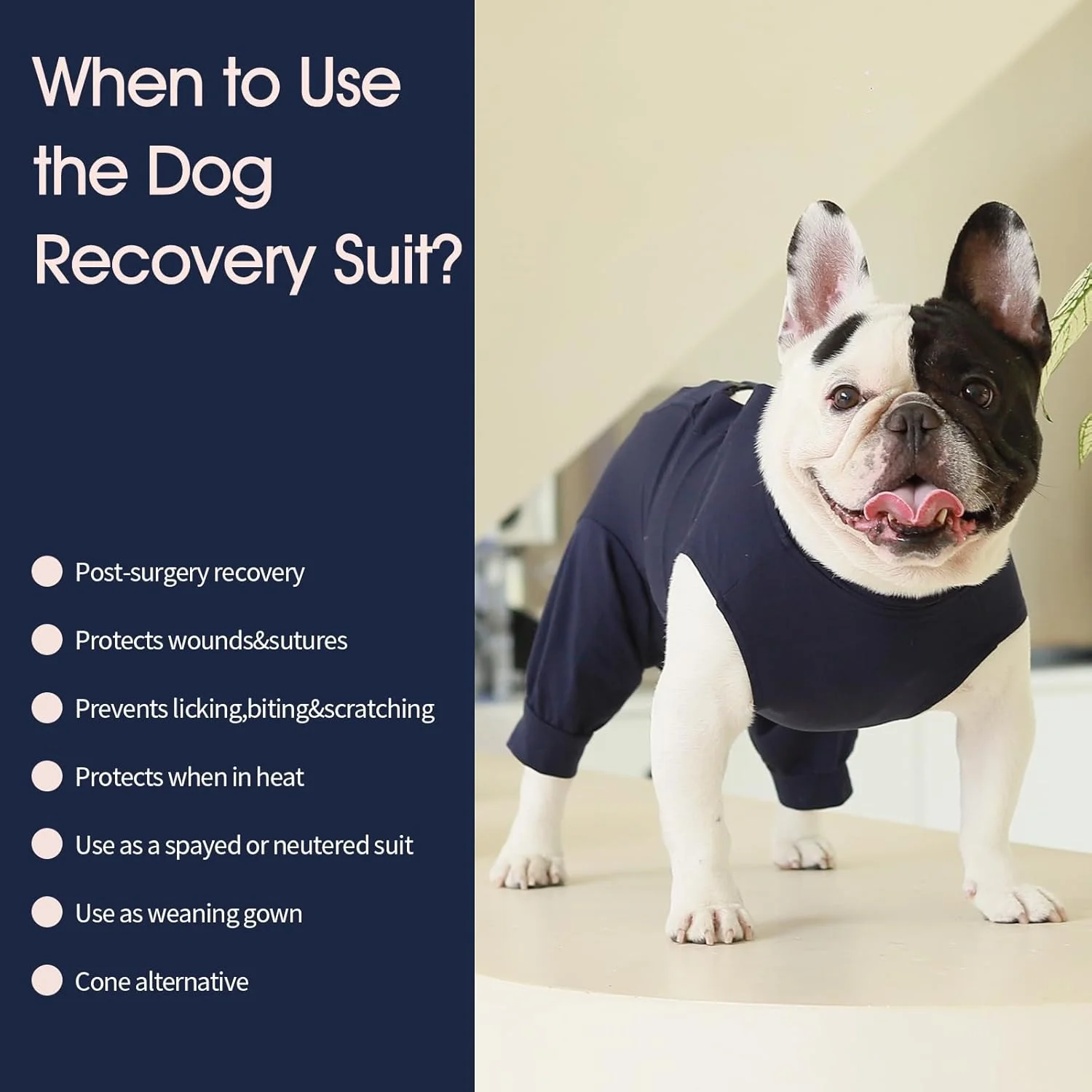 لباس جراحی سگ IECOii با پاها، لباس سرهمی آستین بلند تنفسی سگ، جایگزین مخروطی سگ بعد از جراحی با سوراخ ادرار، لباس نرم سگ برای نقاهت بعد از جراحی عقیم سازی، جلوگیری از لیسیدن، آبی، 2XL لباس جراحی سگ IECOii با پاها، لباس سرهمی آستین بلند تنفسی سگ، جایگزین مخروطی سگ بعد از جراحی با سوراخ ادرار، لباس نرم سگ برای نقاهت بعد از جراحی عقیم سازی، جلوگیری از لیسیدن، آبی، 2XL