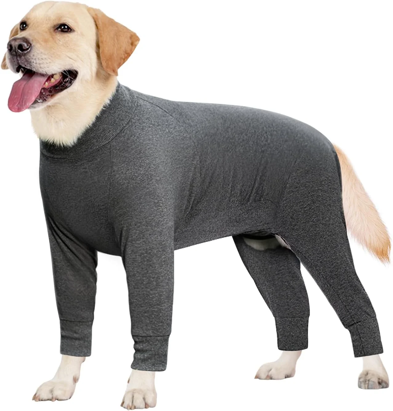 لباس بزرگ سگ، لباس سرهمی الاستیک حیوانات خانگی، محافظ مفاصل، ضد ریزش مو، ضد لیسیدن، محافظ زخم، لباس خواب حیوانات خانگی (خاکستری تیره، 5XL) لباس بزرگ سگ، لباس سرهمی الاستیک حیوانات خانگی، محافظ مفاصل، ضد ریزش مو، ضد لیسیدن، محافظ زخم، لباس خواب حیوانات خانگی (خاکستری تیره، 5XL)