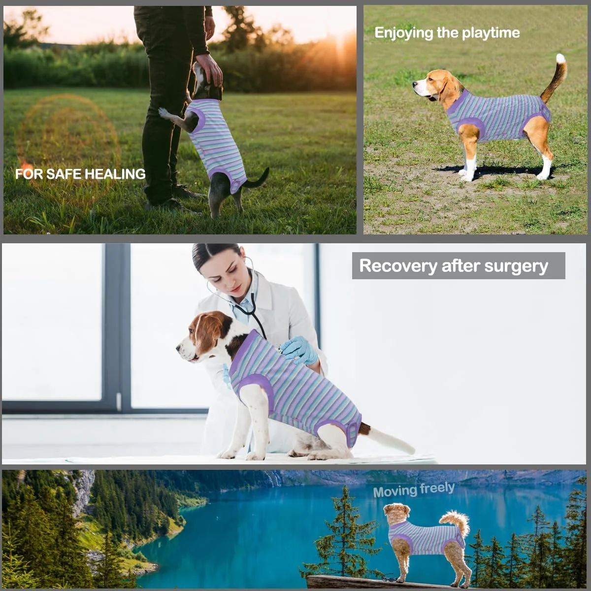 لباس ریکاوری جراحی سگ، لباس ریکاوری جراحی برای سگ ها و گربه های بزرگ، لباس یکسره چند رنگ بنفش سایز بزرگ