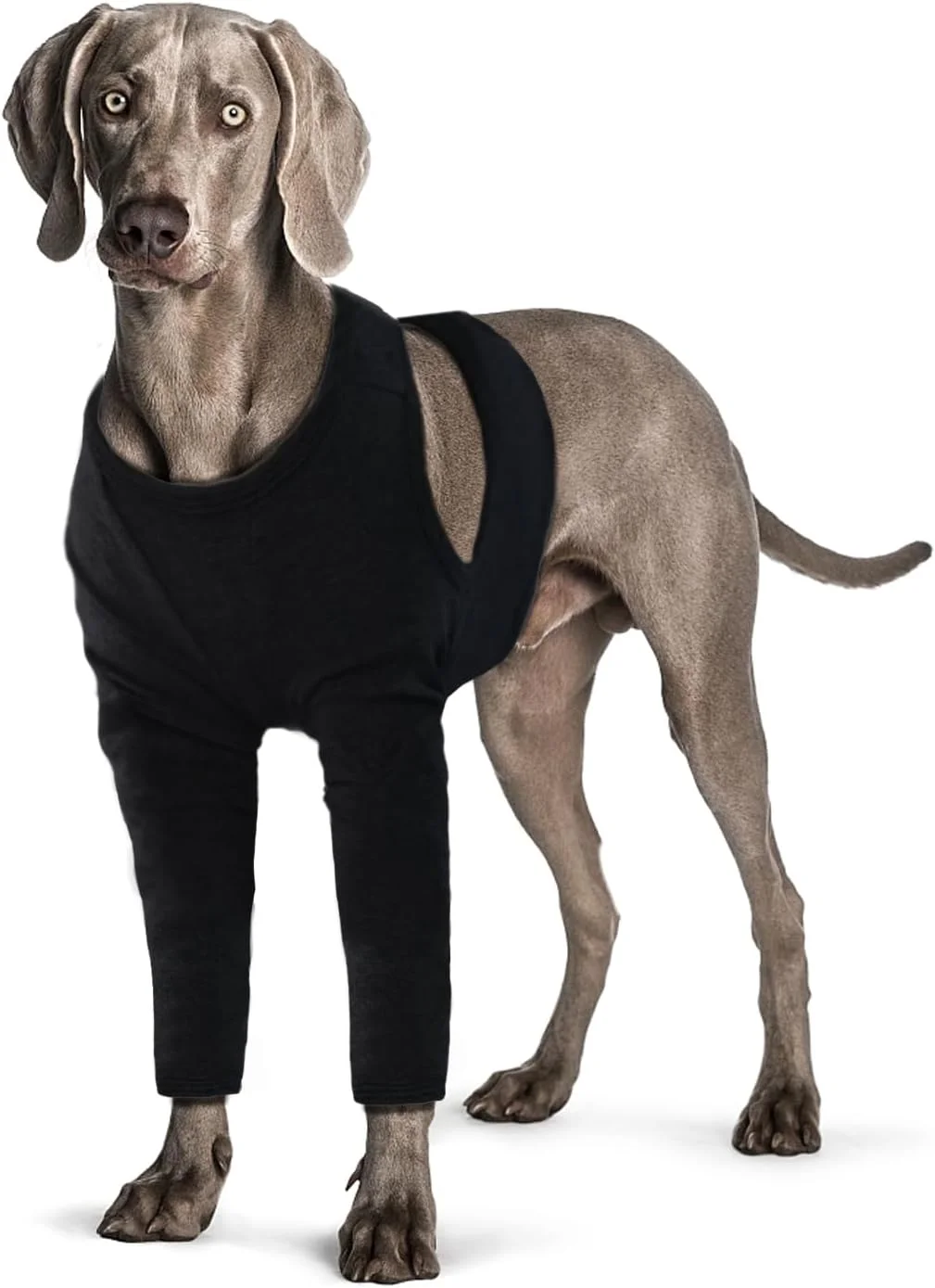 آستین محافظ پای سگ، محافظ آرنج پای جلویی سگ، لباس بهبودی سگ پس از جراحی برای جلوگیری از لیسیدن و گاز گرفتن (مشکی، 2XL)