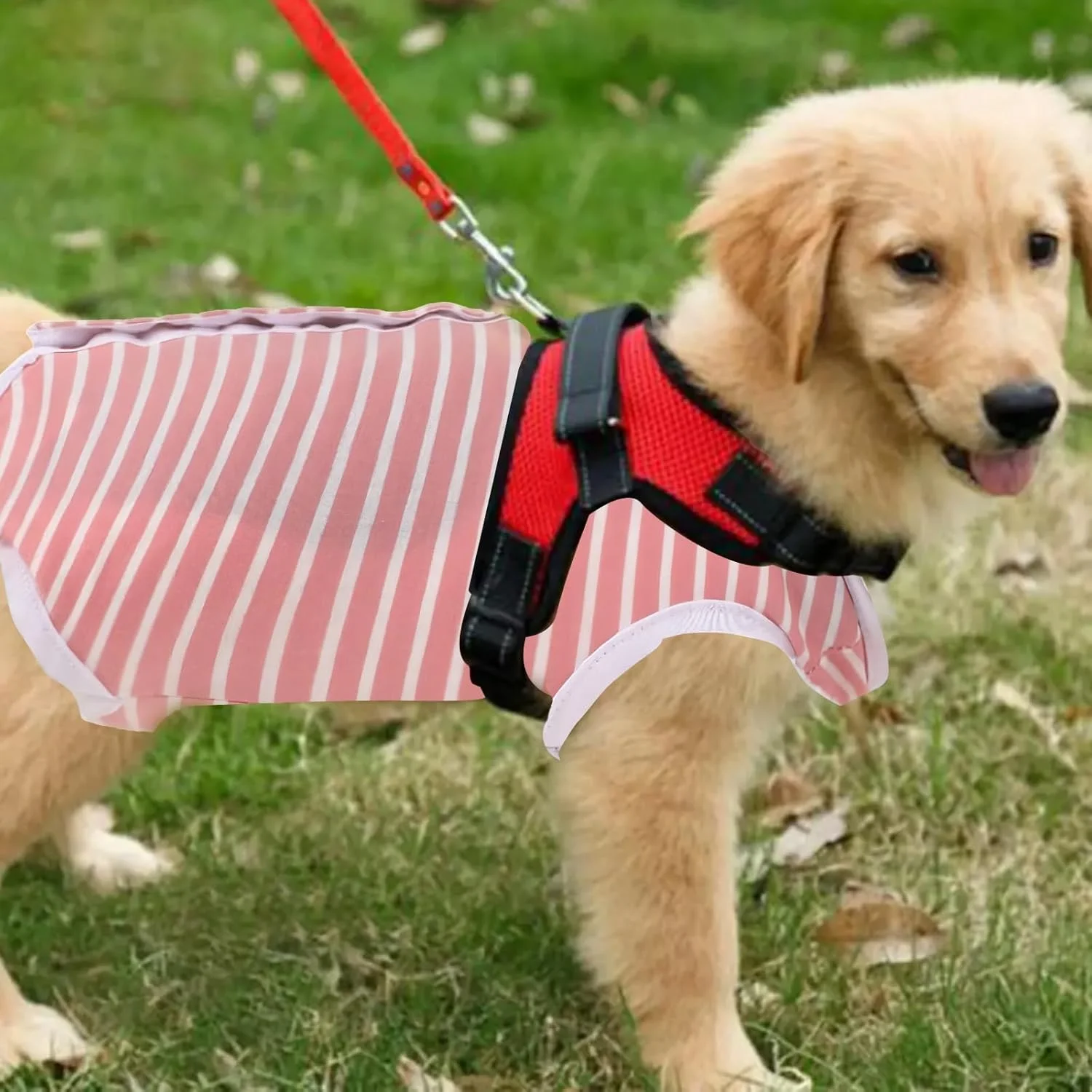 لباس جراحی سگ برای دوران نقاهت، لباس یکسره ضد لیسیدن سگ، جایگزین قلاده الیزابت، محافظ زخم بدن سگ، لباس نقاهت برای سگ ها و گربه ها بعد از جراحی (صورتی، M)