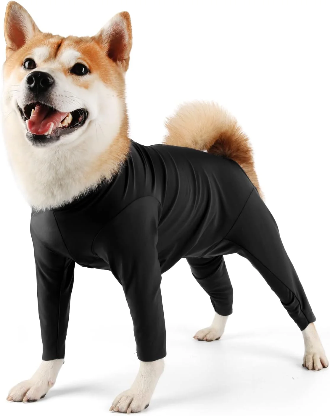 لباس نقاهت سگ Due Felice، لباس یکسره برای سگ های نر و ماده، لباس بدن سگ بعد از جراحی، لباس ریزش موی سگ برای سگ های کوچک، متوسط و بزرگ، مشکی/L لباس نقاهت سگ Due Felice، لباس یکسره برای سگ های نر و ماده، لباس بدن سگ بعد از جراحی، لباس ریزش موی سگ برای سگ های کوچک، متوسط و بزرگ، مشکی/L