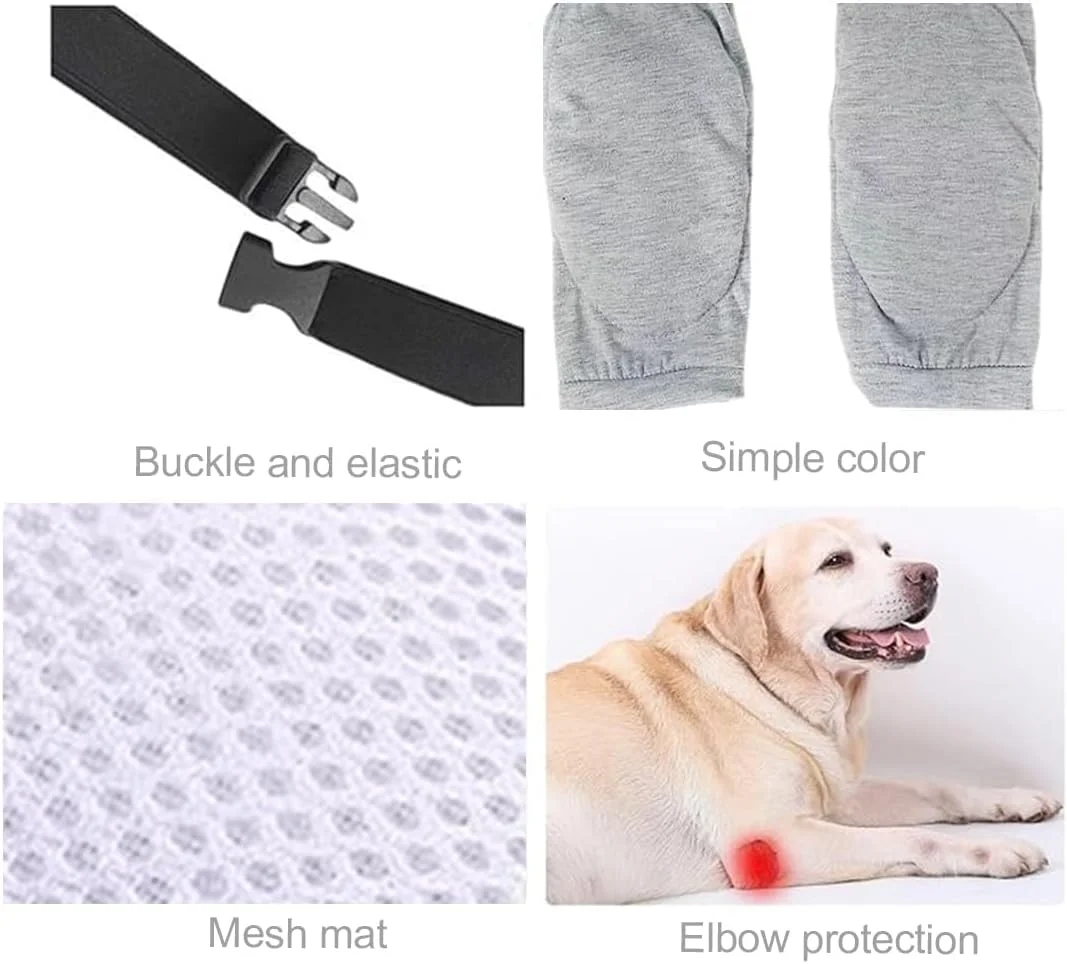 محافظ ساق پای سگ، محافظ آرنج سگ، محافظت از آرنج برای سگ ها، آستین ریکاوری سگ برای پاهای جلو، پد آرنج برای سگ های کوچک، متوسط و بزرگ محافظ ساق پای سگ، محافظ آرنج سگ، محافظت از آرنج برای سگ ها، آستین ریکاوری سگ برای پاهای جلو، پد آرنج برای سگ های کوچک، متوسط و بزرگ