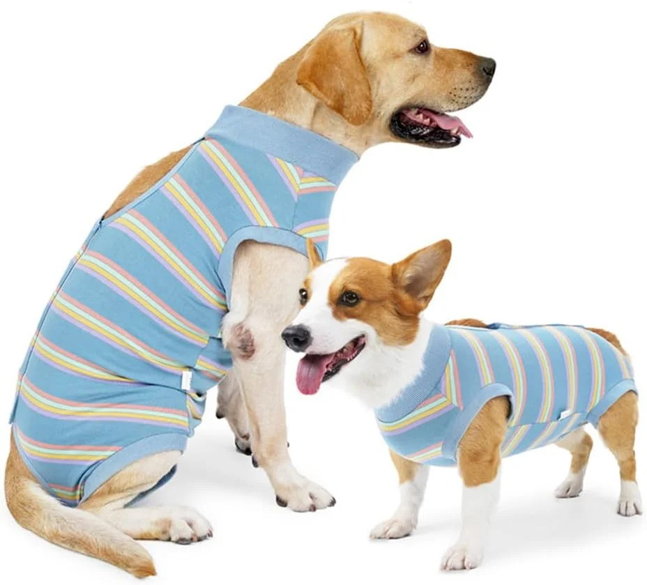 لباس نقاهت سگ، لباس بدن سگ نرم و تنفسی، لباس نقاهت سگ، لباس یکسره آبی آسمانی بعد از جراحی سگ نر و ماده - سایز S لباس نقاهت سگ، لباس بدن سگ نرم و تنفسی، لباس نقاهت سگ، لباس یکسره آبی آسمانی بعد از جراحی سگ نر و ماده - سایز S