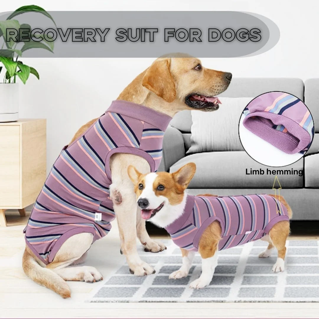 لباس نقاهت سگ، لباس بدن سگ نرم و تنفسی، لباس نقاهت سگ، لباس یکسره آبی آسمانی بعد از جراحی سگ نر و ماده - سایز S لباس نقاهت سگ، لباس بدن سگ نرم و تنفسی، لباس نقاهت سگ، لباس یکسره آبی آسمانی بعد از جراحی سگ نر و ماده - سایز S