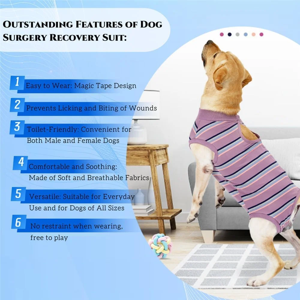 لباس نقاهت سگ، لباس بدن سگ نرم و تنفسی، لباس نقاهت سگ، لباس یکسره آبی آسمانی بعد از جراحی سگ نر و ماده - سایز S لباس نقاهت سگ، لباس بدن سگ نرم و تنفسی، لباس نقاهت سگ، لباس یکسره آبی آسمانی بعد از جراحی سگ نر و ماده - سایز S