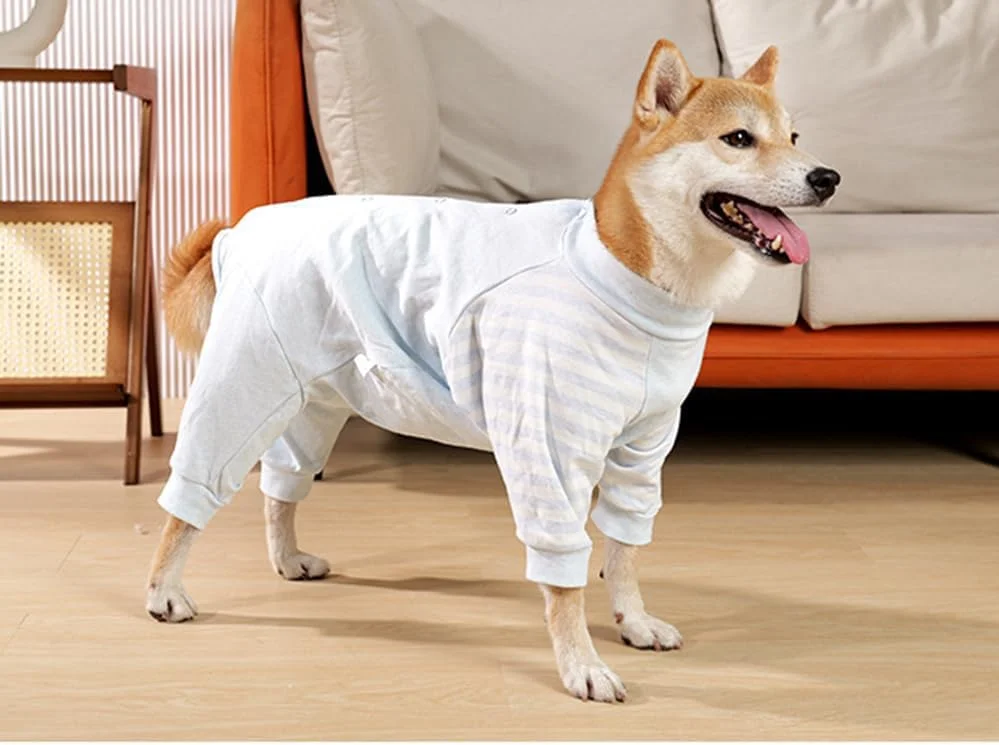 لباس نقاهت سگ، لباس خواب نرم سگ، لباس بدن آستین بلند ضد لیسیدن برای سگ ها، لباس یکسره پا دار، لباس بدن راحت سگ، پیراهن جراحی عقیم سازی (آبی، S) لباس نقاهت سگ، لباس خواب نرم سگ، لباس بدن آستین بلند ضد لیسیدن برای سگ ها، لباس یکسره پا دار، لباس بدن راحت سگ، پیراهن جراحی عقیم سازی (آبی، S)