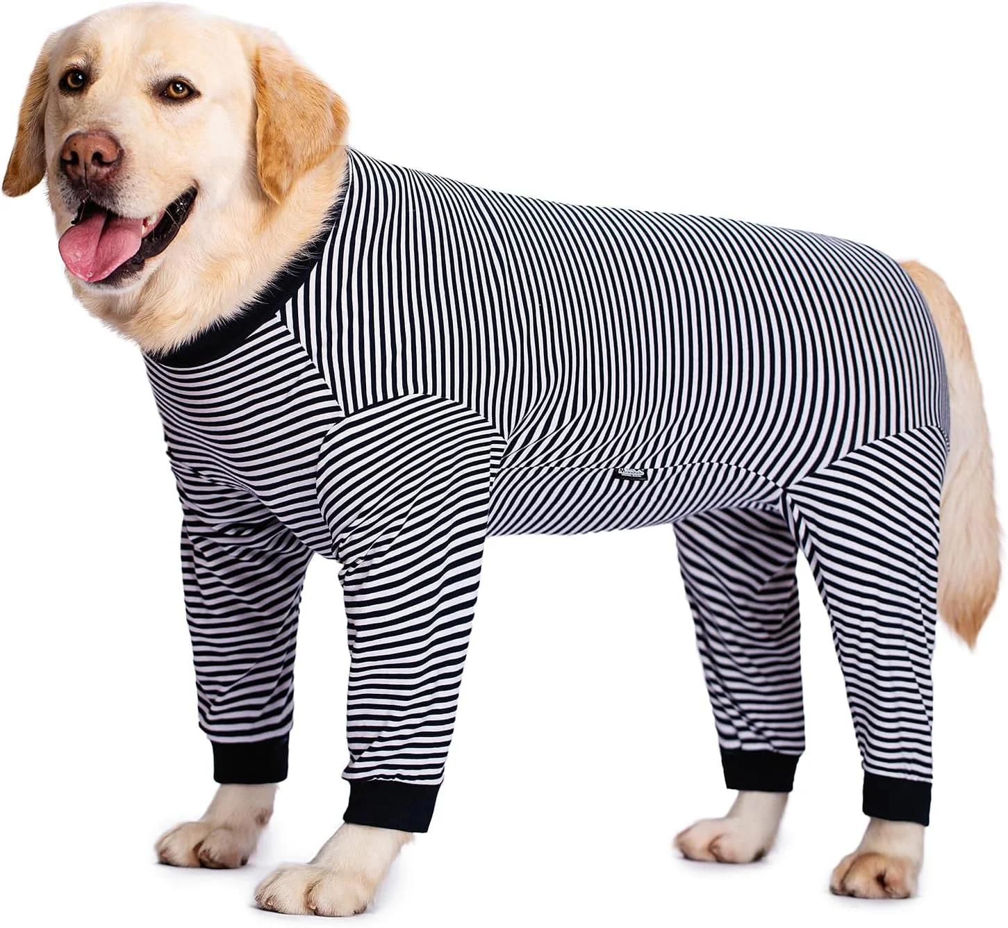 لباس نقاهت سگ، لباس سرهمی آستین بلند سگ با زیپ، لباس بدن سگ بعد از جراحی، لباس جراحی سگ، محافظ زخم بعد از عقیم سازی سگ های ماده/نر، پیراهن پزشکی حیوانات خانگی، جایگزین مخروط سگ