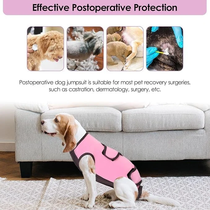 لباس نقاهت سگ ساومونگ، لباس جراحی حرفه ای سگ پنبه ای، جایگزین مخروطی حیوانات خانگی، لباس یکسره تنفسی سگ برای جراحی سگ نر ماده، زخم های شکمی بیماری پوستی گربه (XL، صورتی)
