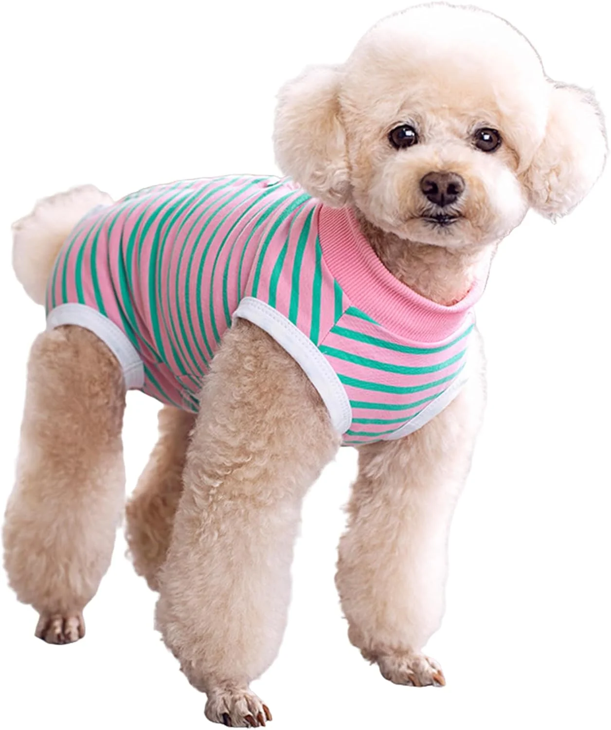 لباس جراحی سگ، لباس بدن نرم جراحی سگ برای محافظت از زخم آلرژی، جایگزین قیف (XS)