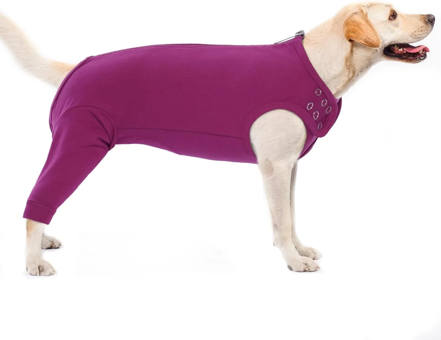 لباس سگ بعد از عمل جراحی، محافظ زخم پای سگ، محافظ پا، لباس بهبودی بعد از جراحی، محافظ آرنج سگ های نر، جلوگیری از لیسیدن یا گاز گرفتن ناحیه جراحی (قرمز-بنفش، XL)