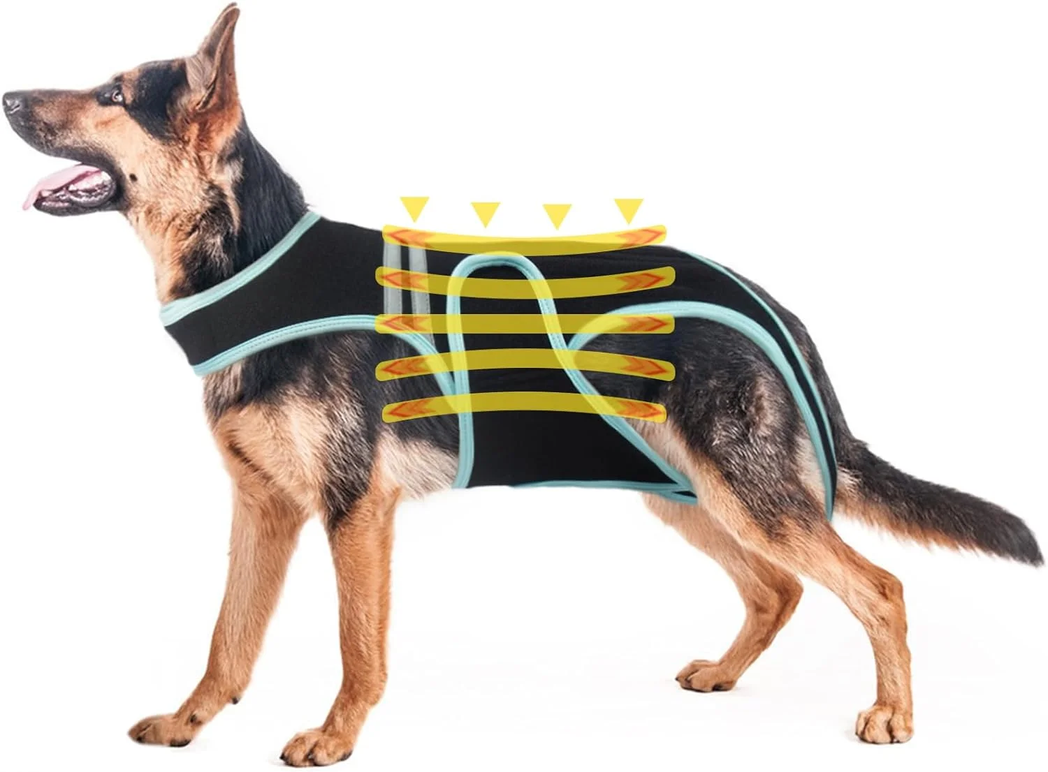 محافظ دیسک بین مهره ای سگ، بریس پشتیبانی از لگن سگ، جلیقه پشتیبانی راحت از ستون فقرات، بریس محافظت از کمر به تسکین درد کمک می کند، به بهبودی جراحی کمک می کند، از بیماری های کمر در سگ ها جلوگیری می کند (3XL)