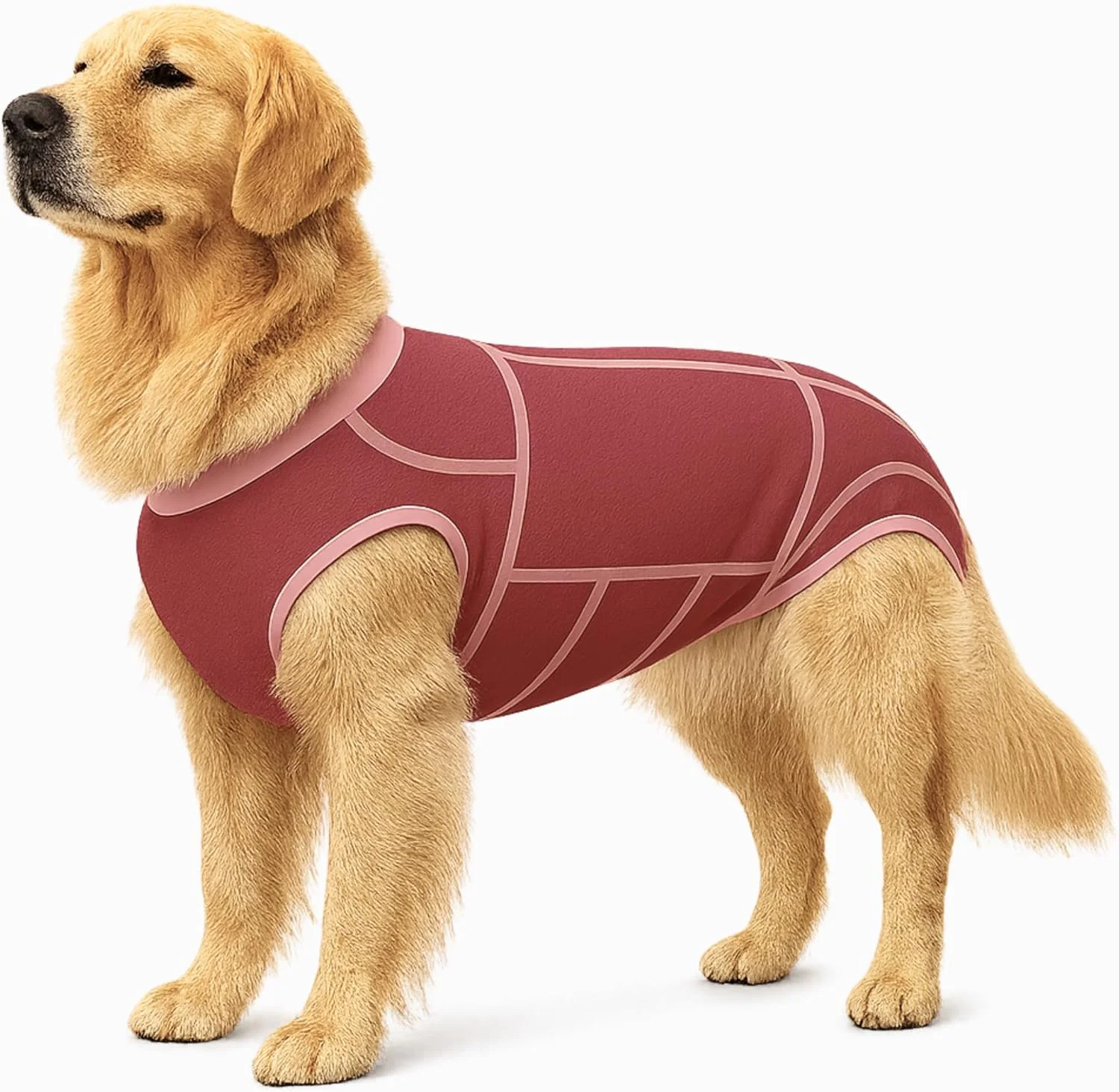 لباس ریکاوری سگ برای سگ های خیلی بزرگ - لباس بدن نرم پنبه-اسپندکس بعد از جراحی با دکمه های فشاری - شامل اسباب بازی جویدنی، برچسب بهداشتی و کیف زیپ دار - جایگزین قیف برای نژادهای خیلی بزرگ