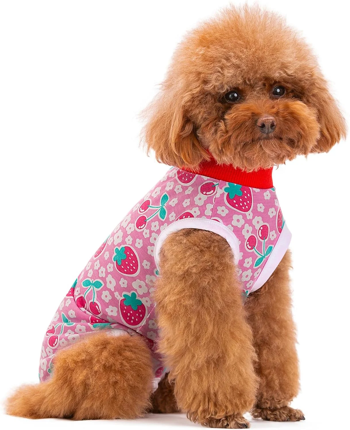 لباس نقاهت سگ، لباس نقاهت برای سگ های نر/ماده بعد از جراحی، لباس های جراحی پزشکی توله سگ ضد لیسیدن، جلیقه حیوانات خانگی جایگزین مخروطی E-Collar، محافظ زخم های شکمی سگ (گیلاس، XXL)