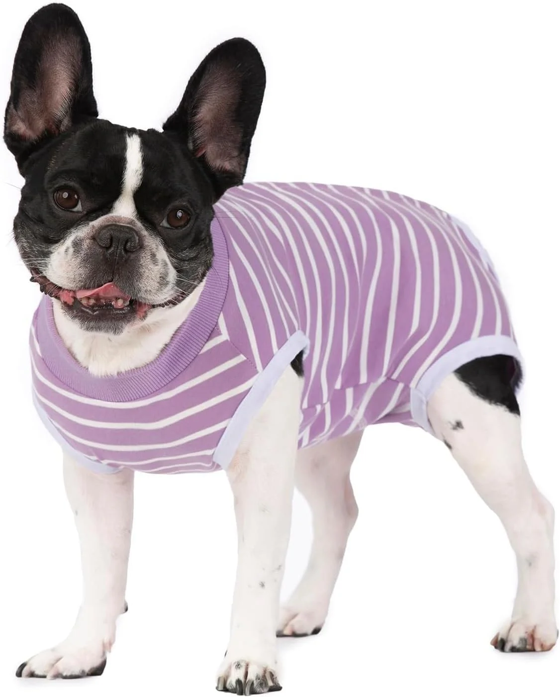 لباس نقاهت برای سگ های کوچک و گربه ها، لباس جراحی سگ و گربه محافظت دوگانه از شکم لباس یکسره برای حیوانات نر و ماده (راه راه صورتی، L)