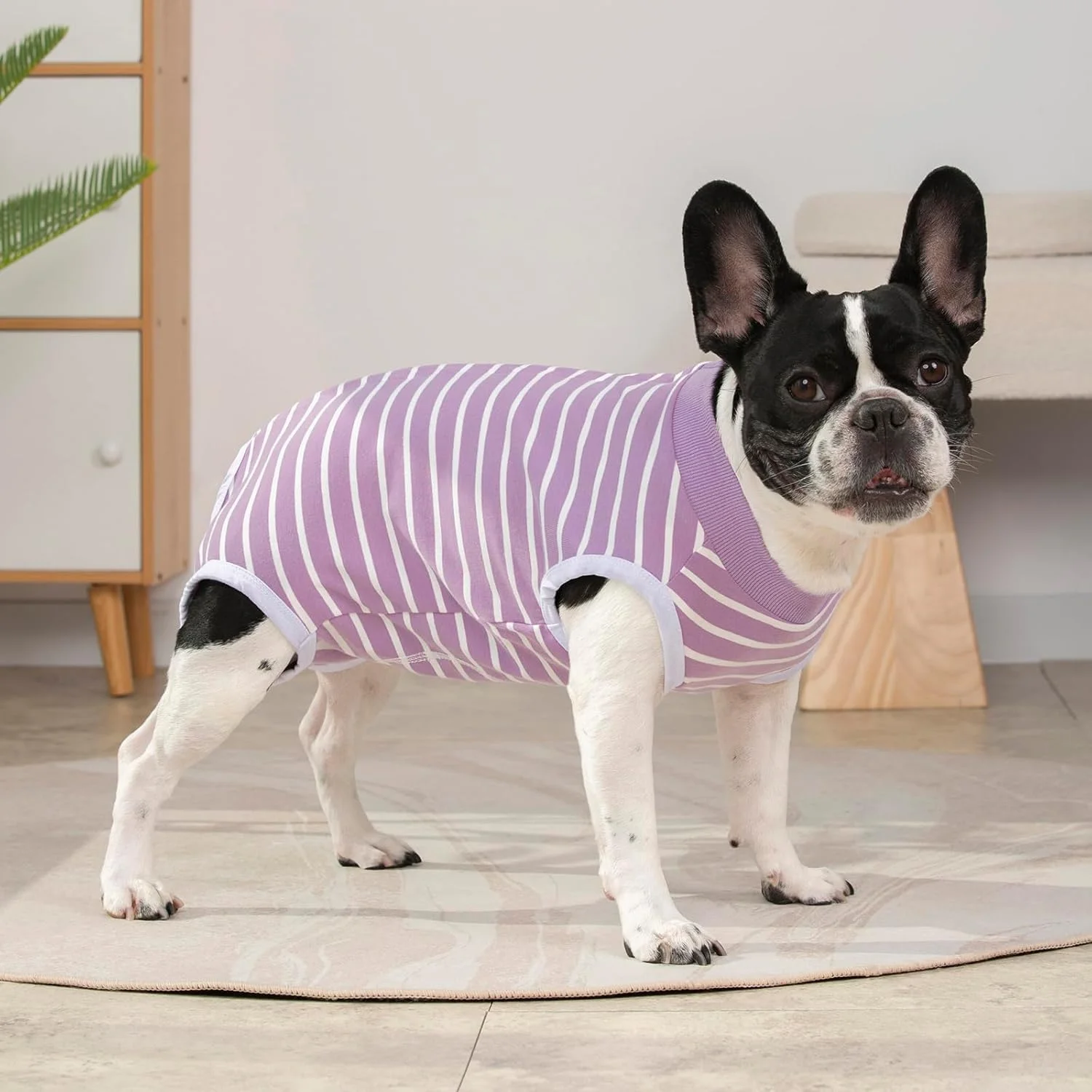 لباس نقاهت برای سگ های کوچک و گربه ها، لباس جراحی سگ و گربه محافظت دوگانه از شکم لباس یکسره برای حیوانات نر و ماده (راه راه صورتی، L)