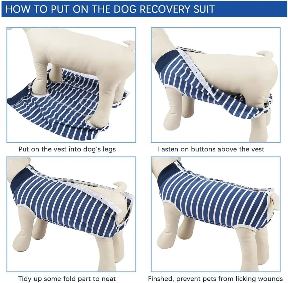 لباس نقاهت سگ، لباس جراحی عقیم سازی سگ، لباس نقاهت حیوانات خانگی با قابلیت تنفس و کشسانی بالا، لباس پرستاری برای سگ ها پس از شیر گرفتن و عقیم سازی، پیراهن نقاهت برای زخم های شکمی (سایز S) لباس نقاهت سگ، لباس جراحی عقیم سازی سگ، لباس نقاهت حیوانات خانگی با قابلیت تنفس و کشسانی بالا، لباس پرستاری برای سگ ها پس از شیر گرفتن و عقیم سازی، پیراهن نقاهت برای زخم های شکمی (سایز S)