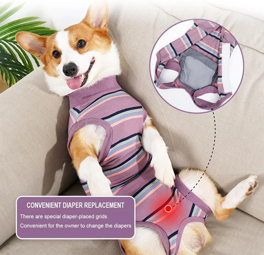 لباس نقاهت جراحی حیوانات خانگی DELIFUR - لباس محافظ زخم سگ و گربه، جلوگیری از لیسیدن (بنفش، کوچک) لباس نقاهت جراحی حیوانات خانگی DELIFUR - لباس محافظ زخم سگ و گربه، جلوگیری از لیسیدن (بنفش، کوچک)