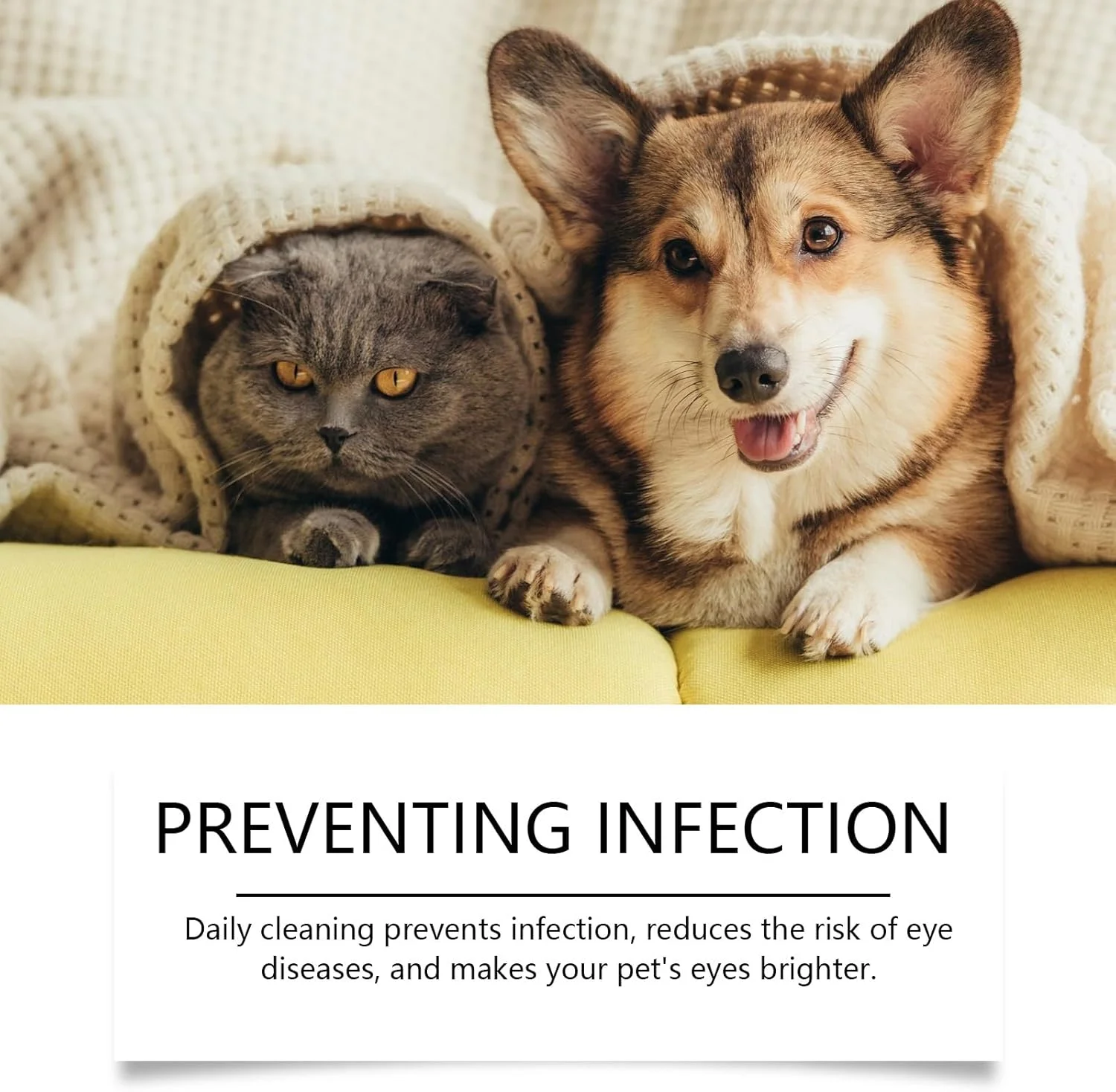 قطره چشمی حیوانات خانگی برای سگ و گربه، تسکین دهنده سوزش و آلرژی، رفع خشکی چشم و قرمزی چشم، پاک کننده لکه اشک، فرمول ایمن برای همه حیوانات خانگی 30 میلی لیتر قطره چشمی حیوانات خانگی برای سگ و گربه، تسکین دهنده سوزش و آلرژی، رفع خشکی چشم و قرمزی چشم، پاک کننده لکه اشک، فرمول ایمن برای همه حیوانات خانگی 30 میلی لیتر