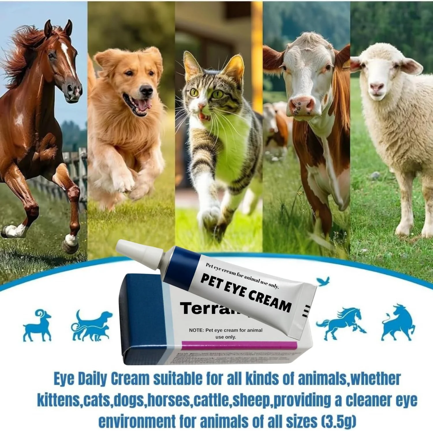کرم چشم حیوانات خانگی، کرم چشم با کیفیت برای سگ، گربه، گاو، اسب، گوسفند، پرنده مناسب برای مراقبت روزانه همه حیوانات خانگی (3.5 گرم/1 عدد در هر تیوب) 1 بسته کرم چشم حیوانات خانگی، کرم چشم با کیفیت برای سگ، گربه، گاو، اسب، گوسفند، پرنده مناسب برای مراقبت روزانه همه حیوانات خانگی (3.5 گرم/1 عدد در هر تیوب) 1 بسته