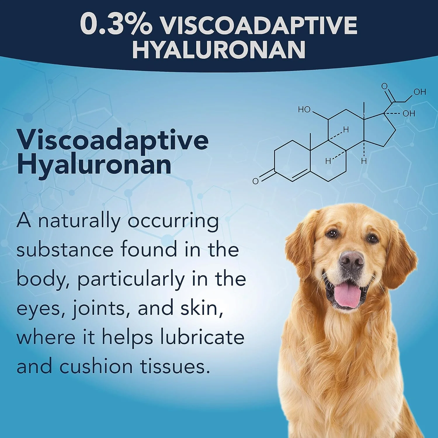 قطره چشمی ژلی حیوانات خانگی نووها با 0.3% هیالورونان ویسکوالاستیک | محلول چشمی برای خشکی شدید چشم - آبرسانی طولانی مدت، کاهش ناراحتی، تورم و خشکی - روان کننده چشم برای سگ ها و گربه ها (2x10 میلی لیتر) قطره چشمی ژلی حیوانات خانگی نووها با 0.3% هیالورونان ویسکوالاستیک | محلول چشمی برای خشکی شدید چشم - آبرسانی طولانی مدت، کاهش ناراحتی، تورم و خشکی - روان کننده چشم برای سگ ها و گربه ها (2x10 میلی لیتر)