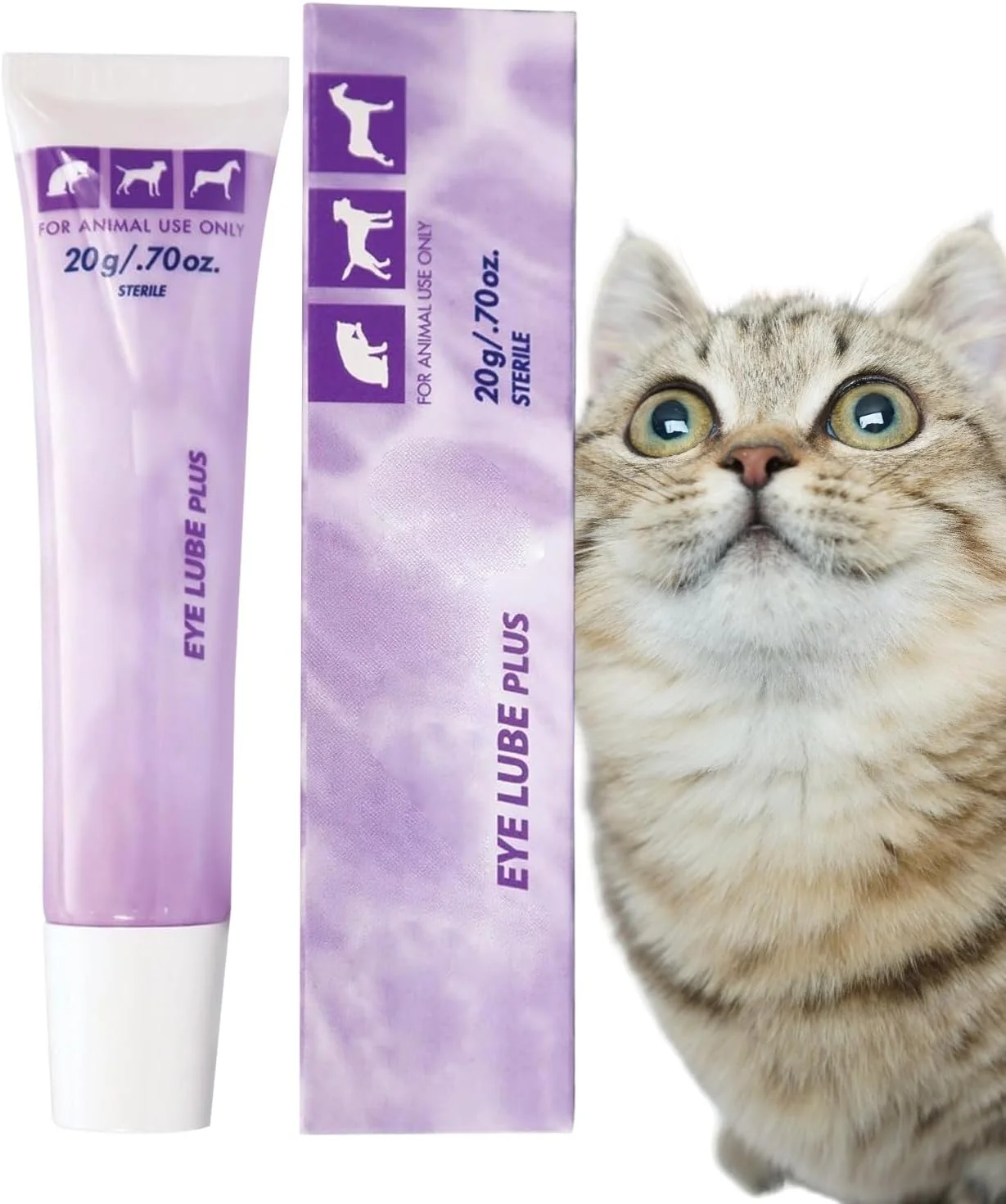 پماد چشمی برای گربه ها 20 گرم - روان کننده چشم اسب، پماد تسکین دهنده برای محافظت فصلی، مناسب برای استفاده روزانه در خانه، خارج از خانه و مسافرت پماد چشمی برای گربه ها 20 گرم - روان کننده چشم اسب، پماد تسکین دهنده برای محافظت فصلی، مناسب برای استفاده روزانه در خانه، خارج از خانه و مسافرت