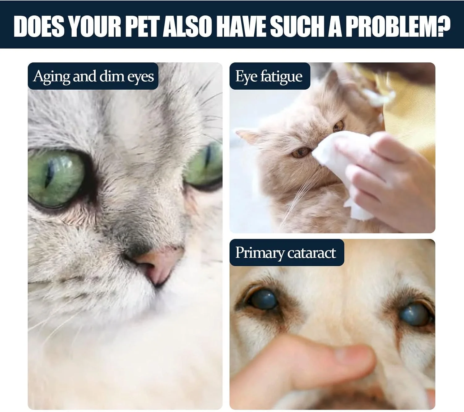 قطره چشمی حیوانات خانگی برای گربه ها و سگ ها، جهت رفع لکه های اشک و تسکین خارش چشم، قطره های پاک کننده ملایم (10 میلی لیتر)