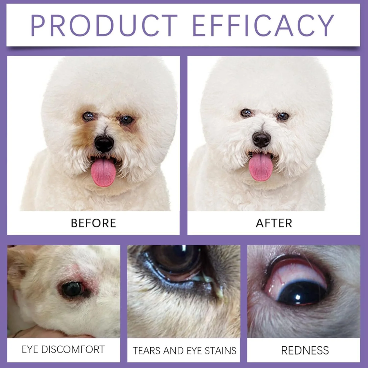 پاک کننده لکه اشک سگ، شستشوی چشم سگ، بالم پاک کننده لکه اشک حیوانات خانگی، پاک کننده ملایم و موثر چشم حیوانات خانگی، مراقبت طبیعی چشم برای تمیز کردن سگ پاک کننده لکه اشک سگ، شستشوی چشم سگ، بالم پاک کننده لکه اشک حیوانات خانگی، پاک کننده ملایم و موثر چشم حیوانات خانگی، مراقبت طبیعی چشم برای تمیز کردن سگ