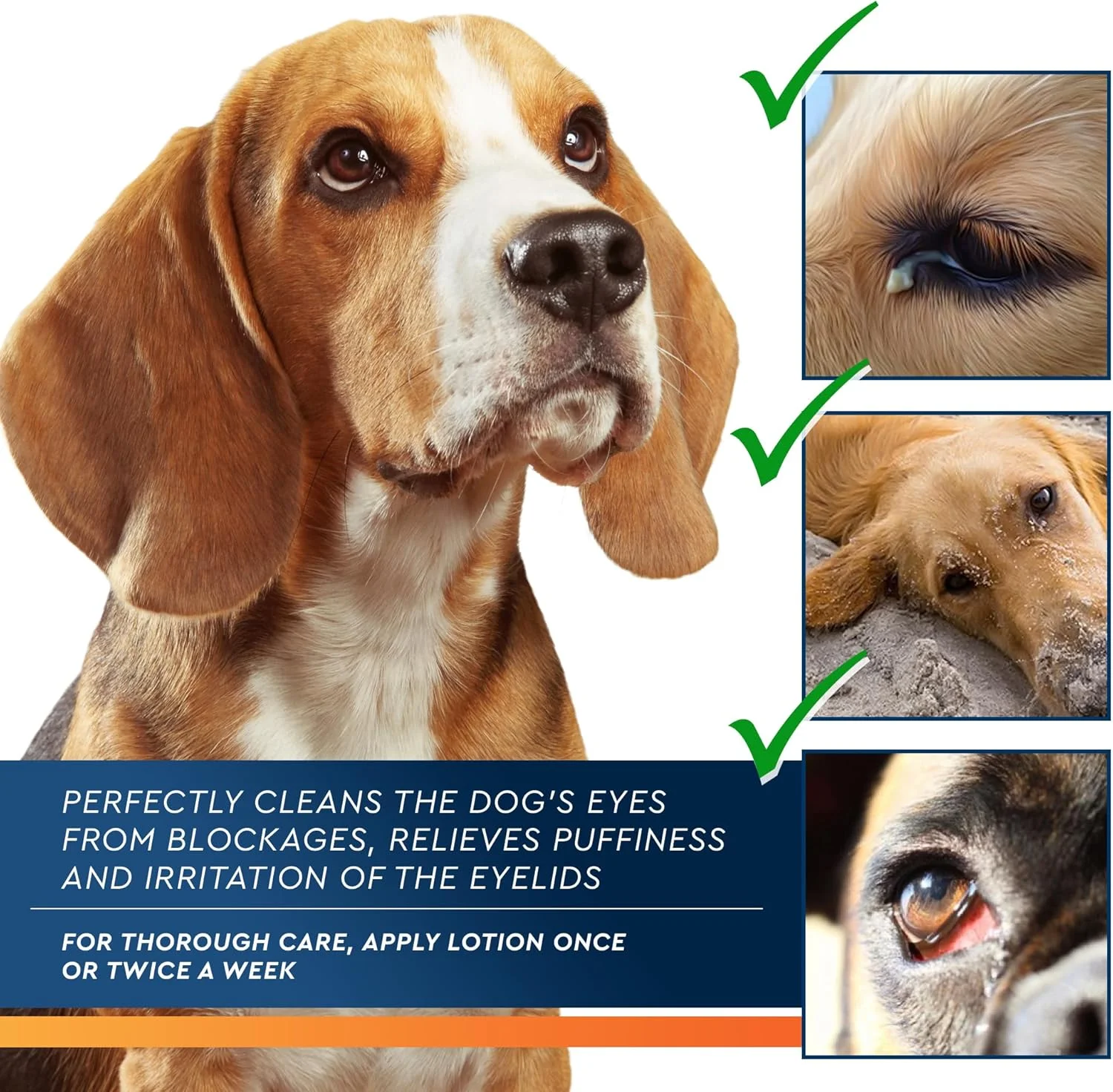 قطره شستشوی چشم حیوانات خانگی برای تسکین علائم آلرژی، عفونت و خشکی چشم - درمان بدون درد به جلوگیری از ساییدگی، تحریک و التهاب ملتحمه کمک می کند قطره شستشوی چشم حیوانات خانگی برای تسکین علائم آلرژی، عفونت و خشکی چشم - درمان بدون درد به جلوگیری از ساییدگی، تحریک و التهاب ملتحمه کمک می کند