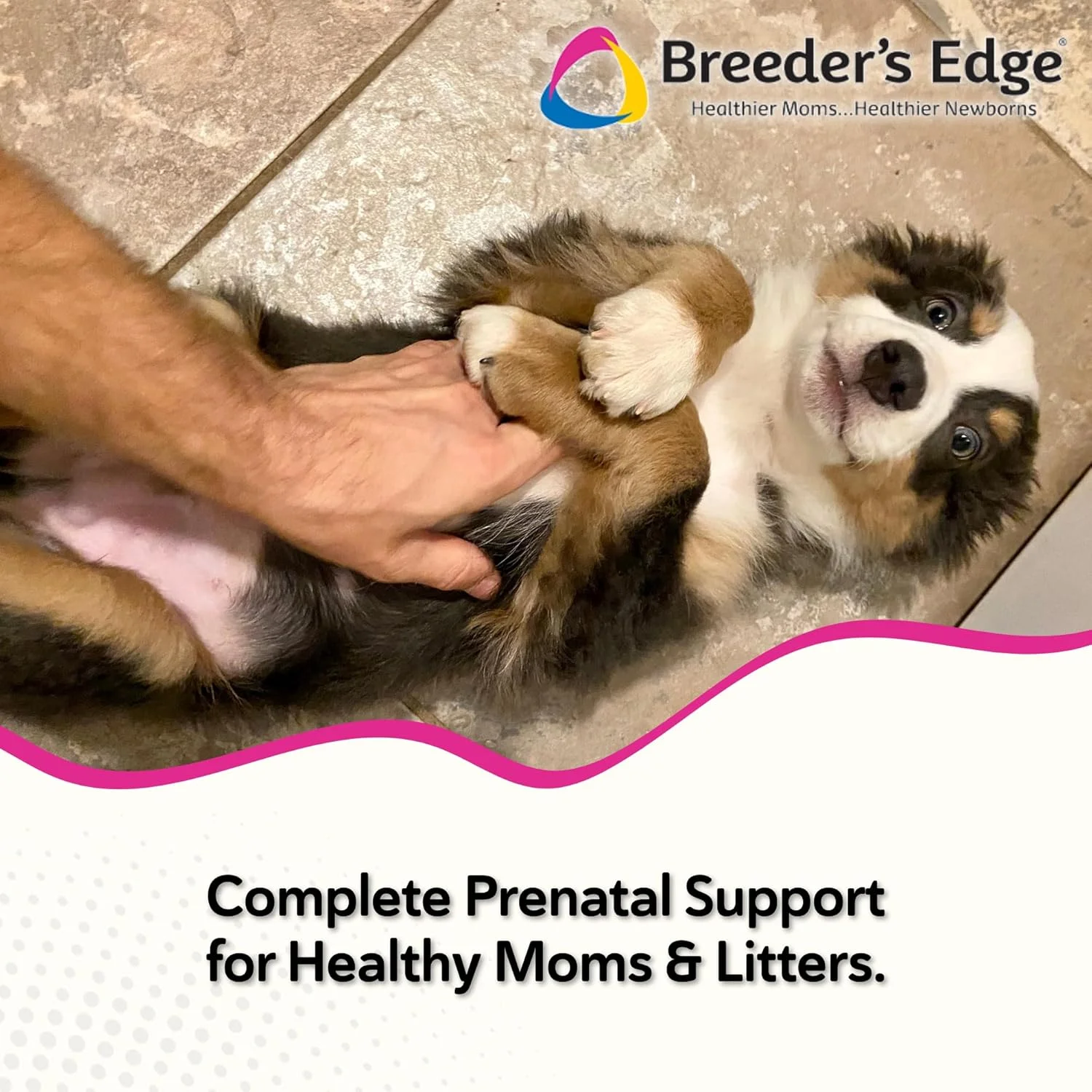 مکمل دوران بارداری حیوانات خانگی ریوایول انیمال هلث بریدرز اج اوکسی میت - برای سگ های متوسط و بزرگ - 60 عدد جویدنی نرم