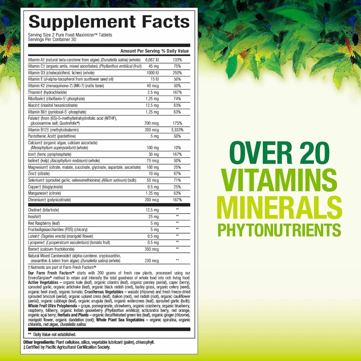 Natural Factors Whole Earth & Sea - مولتی ویتامین و مواد معدنی دوران بارداری Pure Food Women's، 60 عدد 179801