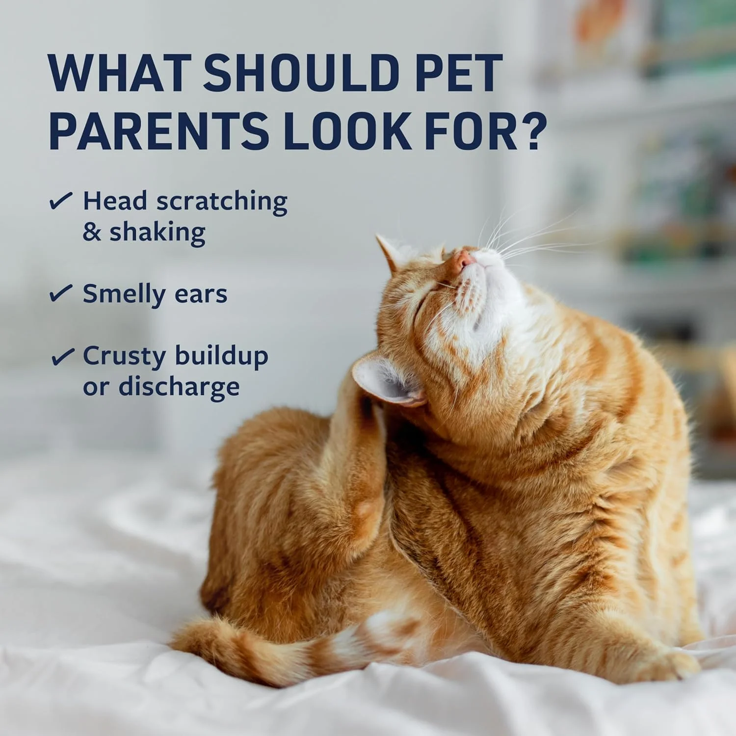 دستمال مرطوب تمیز کننده گوش سگ و گربه Veterinary Formula Clinical Care، 100 عدد - کمک به تسکین خارش گوش، حذف موثر آلودگی، جرم و بوی بد دستمال مرطوب تمیز کننده گوش سگ و گربه Veterinary Formula Clinical Care، 100 عدد - کمک به تسکین خارش گوش، حذف موثر آلودگی، جرم و بوی بد