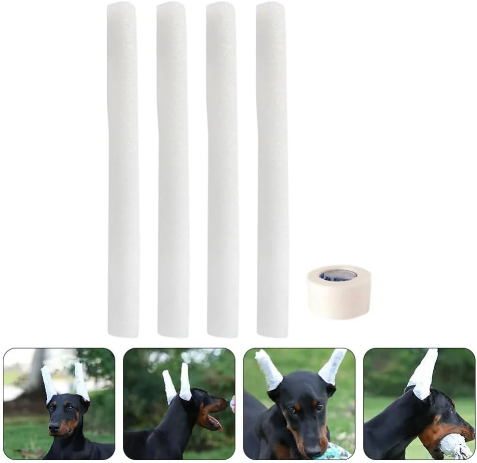 ابزار فرم دهی گوش سگ تاد مامی، میله های نگهدارنده گوش سگ با فوم نرم، ابزار اصلاح گوش توله سگ