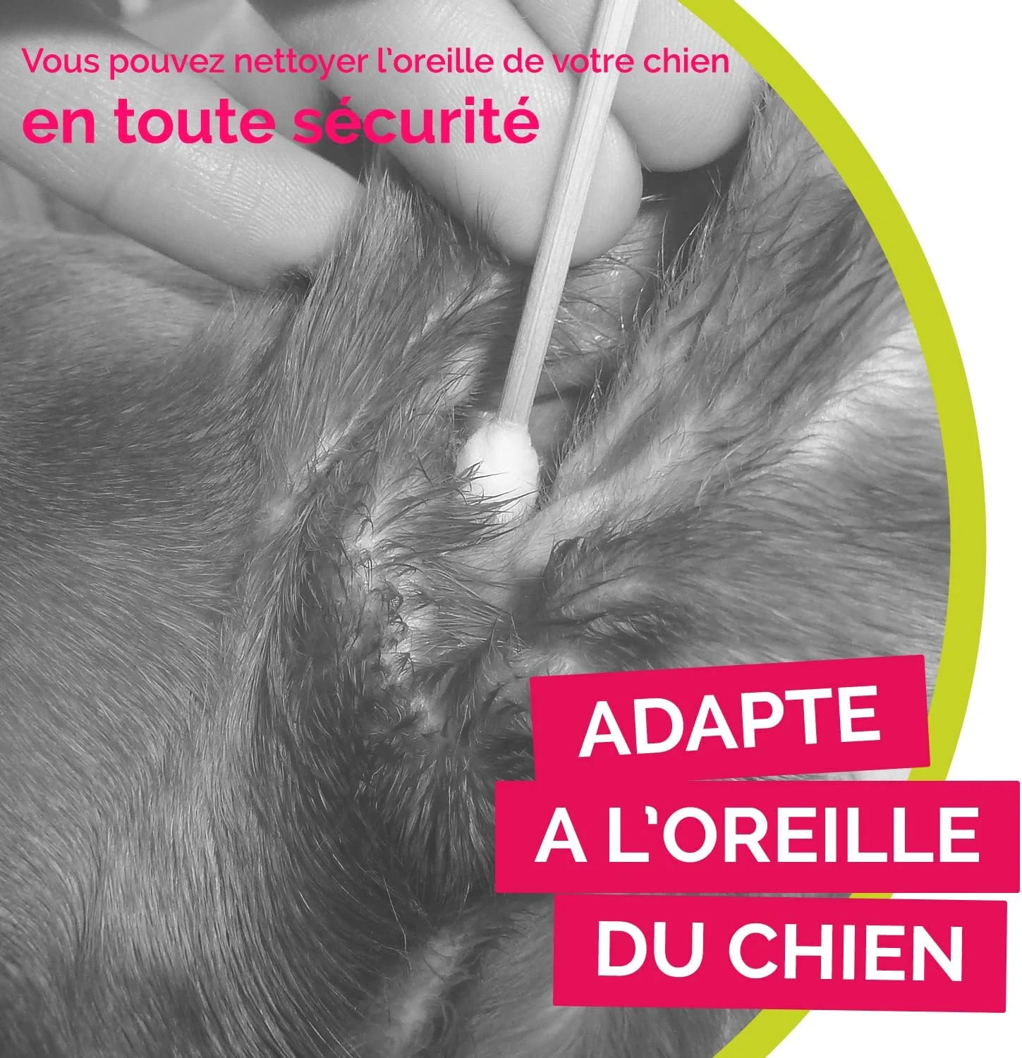 بسته ۵۰ عددی گوش پاک کن بامبو استیک مناسب تمیز کردن گوش سگ ها و گربه های کوچک - مراقبت از گوش سگ و گربه - استفاده آسان - توسعه یافته توسط دامپزشک فرانسوی