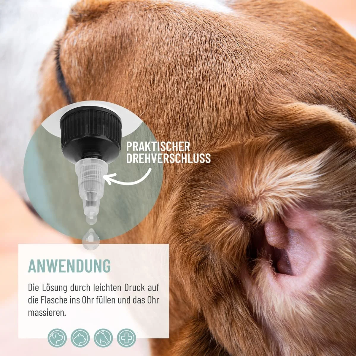 محلول پاک کننده گوش سگ و گربه ریوِت 250 میلی لیتر - پاک کننده گوش با نقره کلوئیدی + بابونه طبیعی | مناسب برای تمیز کردن گوش سگ، گربه، اسب