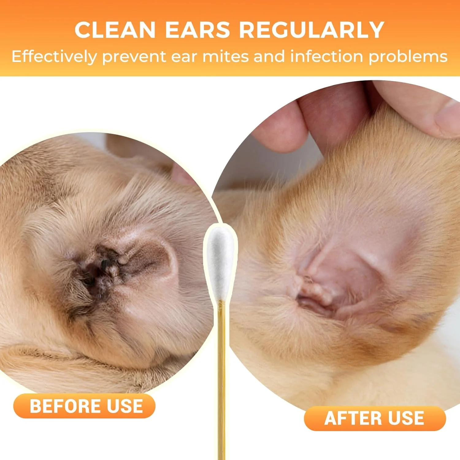 200 عدد گوش پاک کن سگ - گوش پاک کن های پنبه ای 15 سانتی متری برای سگ ها، سر پنبه ای بزرگ با جذب بالا، بدون پرز - طراحی شده به طور خاص برای استفاده با پاک کننده گوش حیوانات خانگی
