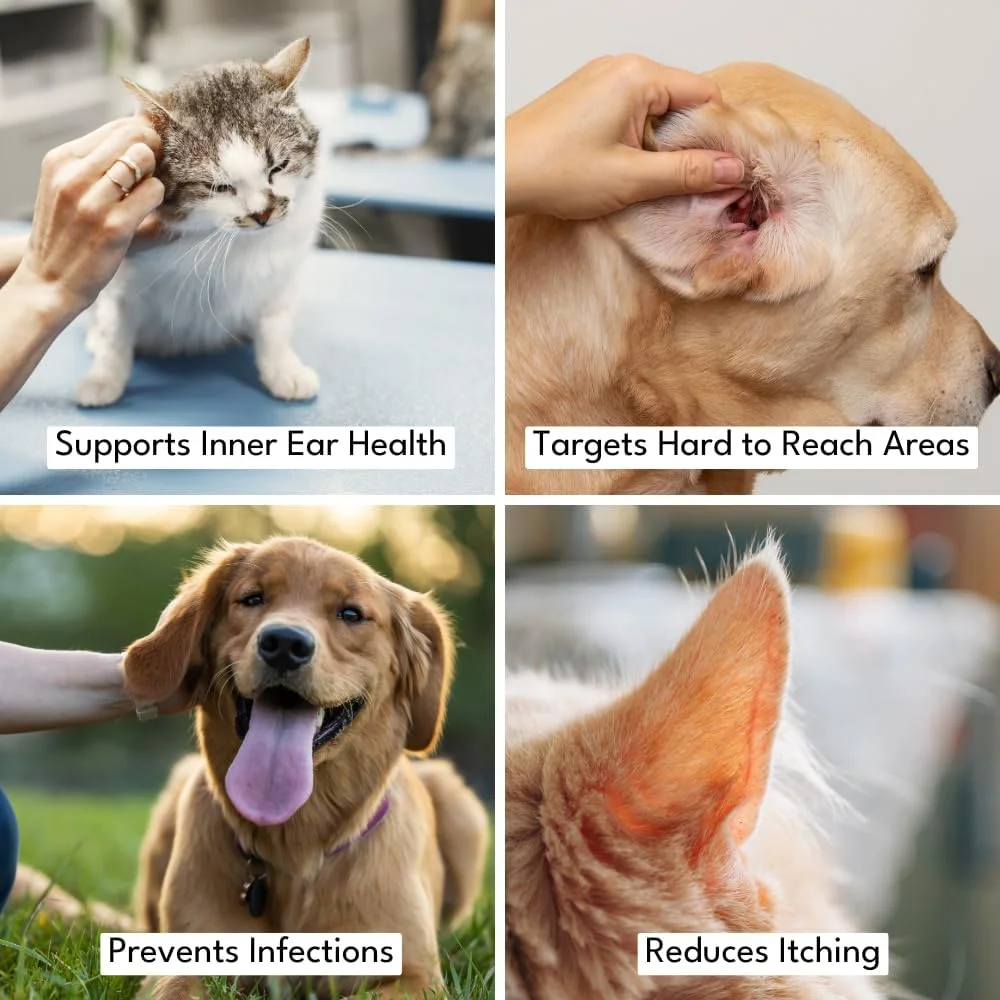 محلول پاک کننده گوش سگ پترویال | فرمول موثر و ملایم | از بین بردن آلودگی، جرم اضافی، کنه | بهبود شنوایی | تسکین خارش | محلول پاک کننده گوش سگ با بافر Tris EDTA