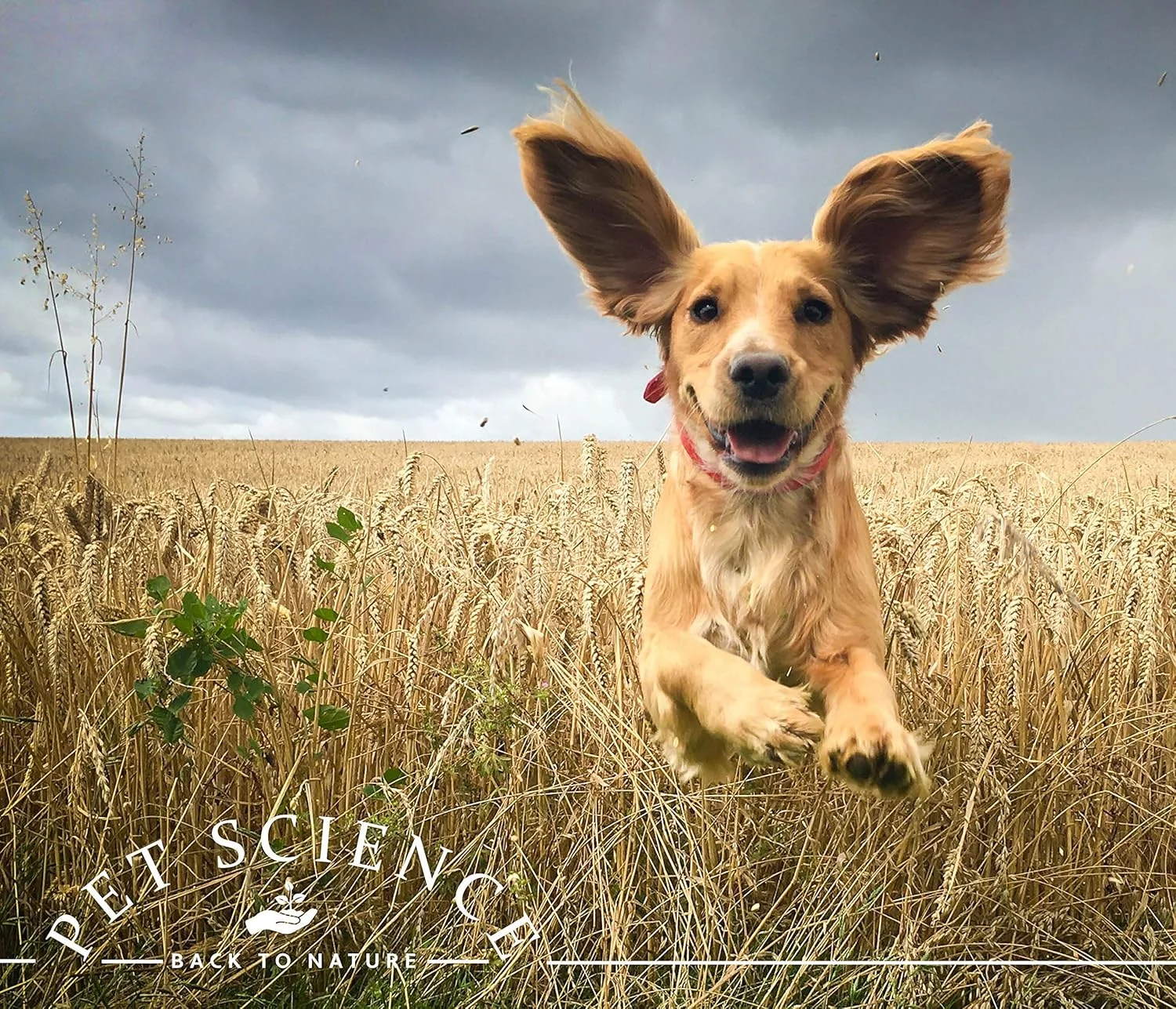 محلول شستشوی گوش حیوانات خانگی، تمیز کننده و ضد عفونی کننده، کاهش خارش (118 میلی لیتر)