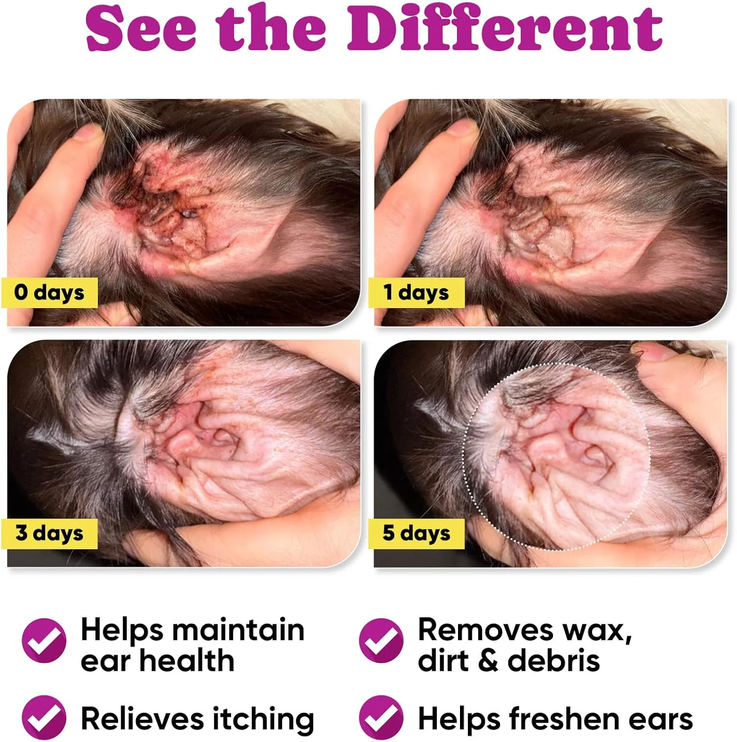 دستمال مرطوب انگشتی تمیز کننده گوش حیوانات خانگی برای سگ و گربه - تمیز کننده گوش سگ با آلوئه ورا، روغن نارگیل و جینسینگ - دستمال مرطوب انگشتی گوش سگ برای تسکین خارش گوش، عفونت ها، جرم و بوی بد گوش - 50 عدد - رایحه نارگیل دستمال مرطوب انگشتی تمیز کننده گوش حیوانات خانگی برای سگ و گربه - تمیز کننده گوش سگ با آلوئه ورا، روغن نارگیل و جینسینگ - دستمال مرطوب انگشتی گوش سگ برای تسکین خارش گوش، عفونت ها، جرم و بوی بد گوش - 50 عدد - رایحه نارگیل