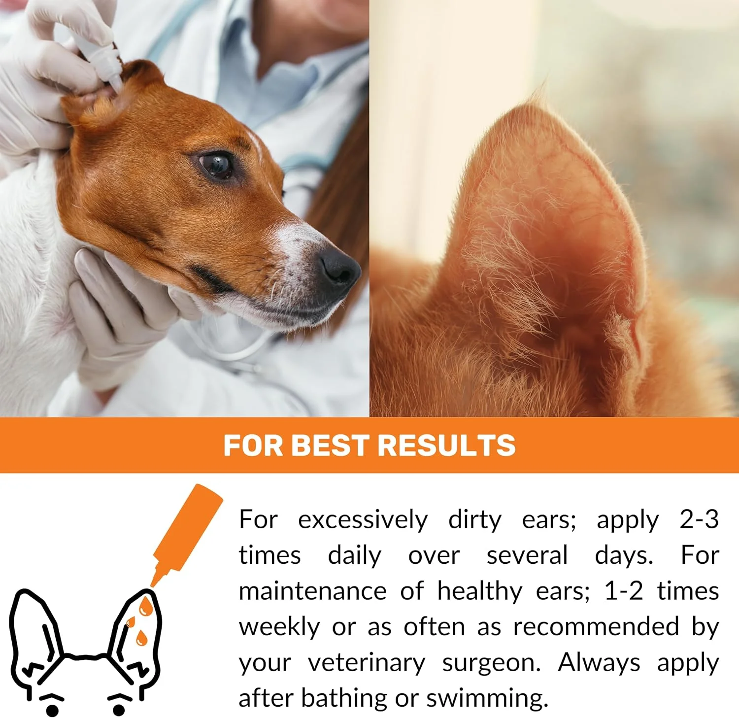 محلول پاک کننده گوش سگ و گربه نوتری پاو (250 میلی لیتر) - تسکین خارش، جرم، موم و بوی بد گوش - توقف تکان دادن سر، خاراندن و مالش گوش - پشتیبانی از سلامت گوش - برای استفاده روزانه - مناسب برای همه حیوانات خانگی محلول پاک کننده گوش سگ و گربه نوتری پاو (250 میلی لیتر) - تسکین خارش، جرم، موم و بوی بد گوش - توقف تکان دادن سر، خاراندن و مالش گوش - پشتیبانی از سلامت گوش - برای استفاده روزانه - مناسب برای همه حیوانات خانگی