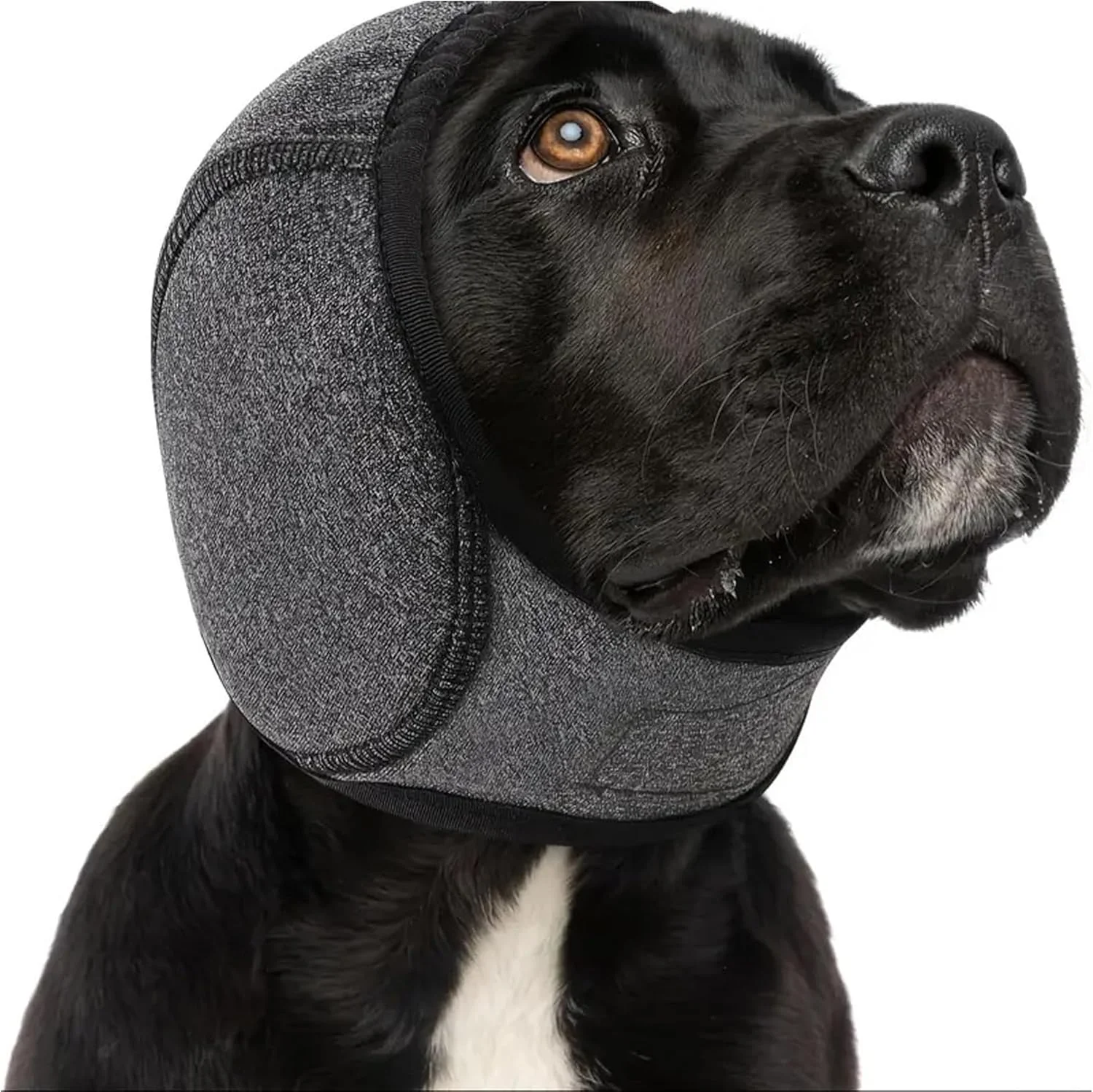 محافظ گوش سگ، هودی آرامش بخش سگ، پوشش گوش ضد آب حیوانات خانگی، تسکین اضطراب و محافظت در برابر صدا، برای آتش بازی، آرایشگری، رعد و برق، شنا