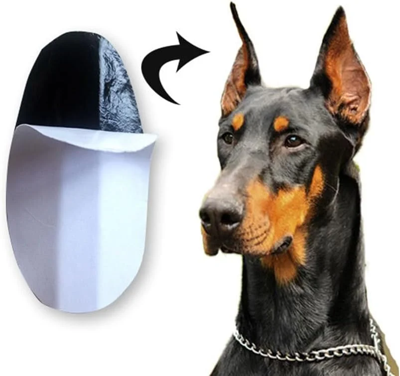 میپ‌کیس یک جفت برچسب نگهدارنده گوش حیوانات خانگی، ابزار اصلاح گوش سگ برای توله سگ، طراحی سبک و قابل استفاده مجدد برای حیوانات خانگی زیبا و با اعتماد به نفس