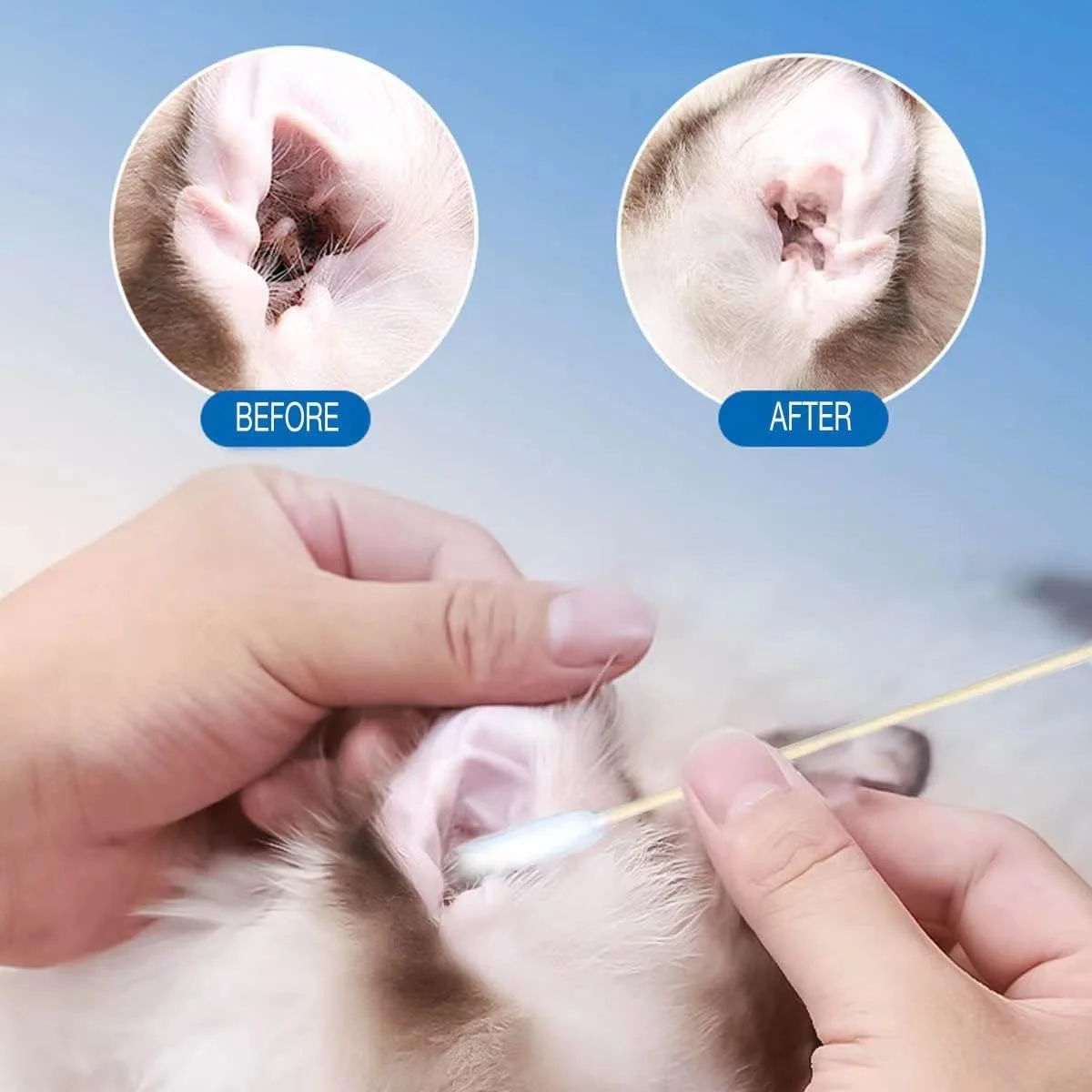 ۵۰ عدد گوش پاک کن بامبو برای سگ و گربه، ۱۵.۵ سانتی متر، چوب بلند، پاک کننده جرم گوش و رفع خارش، مناسب برای تمیز کردن گوش حیوانات و از بین بردن عفونت (بسته ۵۰ عددی) ۵۰ عدد گوش پاک کن بامبو برای سگ و گربه، ۱۵.۵ سانتی متر، چوب بلند، پاک کننده جرم گوش و رفع خارش، مناسب برای تمیز کردن گوش حیوانات و از بین بردن عفونت (بسته ۵۰ عددی)