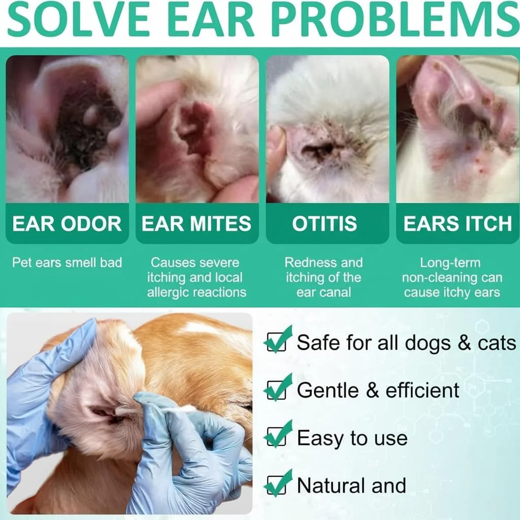 قطره شستشوی گوش سگ و گربه نالاکال، تمیز کننده مجرای گوش از جرم و تجمع، پشتیبانی و تسکین عفونت، خارش و التهاب گوش، فرمول چند منظوره طبیعی، پاک کننده گوش حیوانات خانگی برای همه سگ ها - 60 میلی لیتر قطره شستشوی گوش سگ و گربه نالاکال، تمیز کننده مجرای گوش از جرم و تجمع، پشتیبانی و تسکین عفونت، خارش و التهاب گوش، فرمول چند منظوره طبیعی، پاک کننده گوش حیوانات خانگی برای همه سگ ها - 60 میلی لیتر