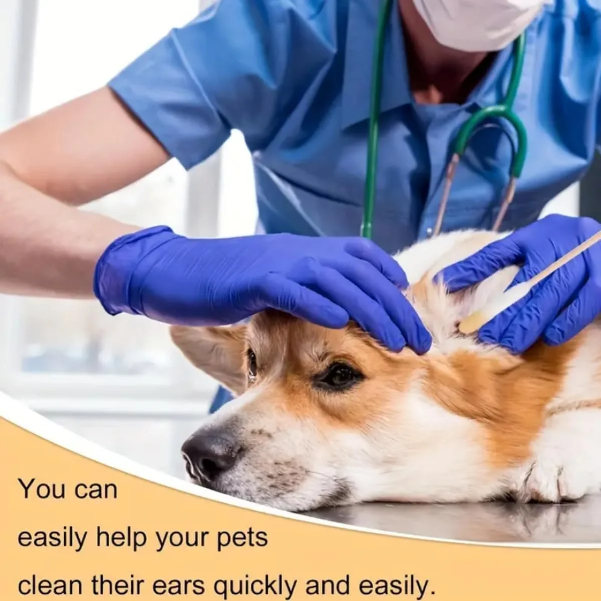 200 عدد گوش پاک کن سگ، گوش پاک کن پنبه ای برای تمیز کردن گوش حیوانات، پاک کننده خارش گوش حیوانات، گوش پاک کن بزرگ پنبه ای برای تمیز کردن جرم گوش سگ و گربه 200 عدد گوش پاک کن سگ، گوش پاک کن پنبه ای برای تمیز کردن گوش حیوانات، پاک کننده خارش گوش حیوانات، گوش پاک کن بزرگ پنبه ای برای تمیز کردن جرم گوش سگ و گربه