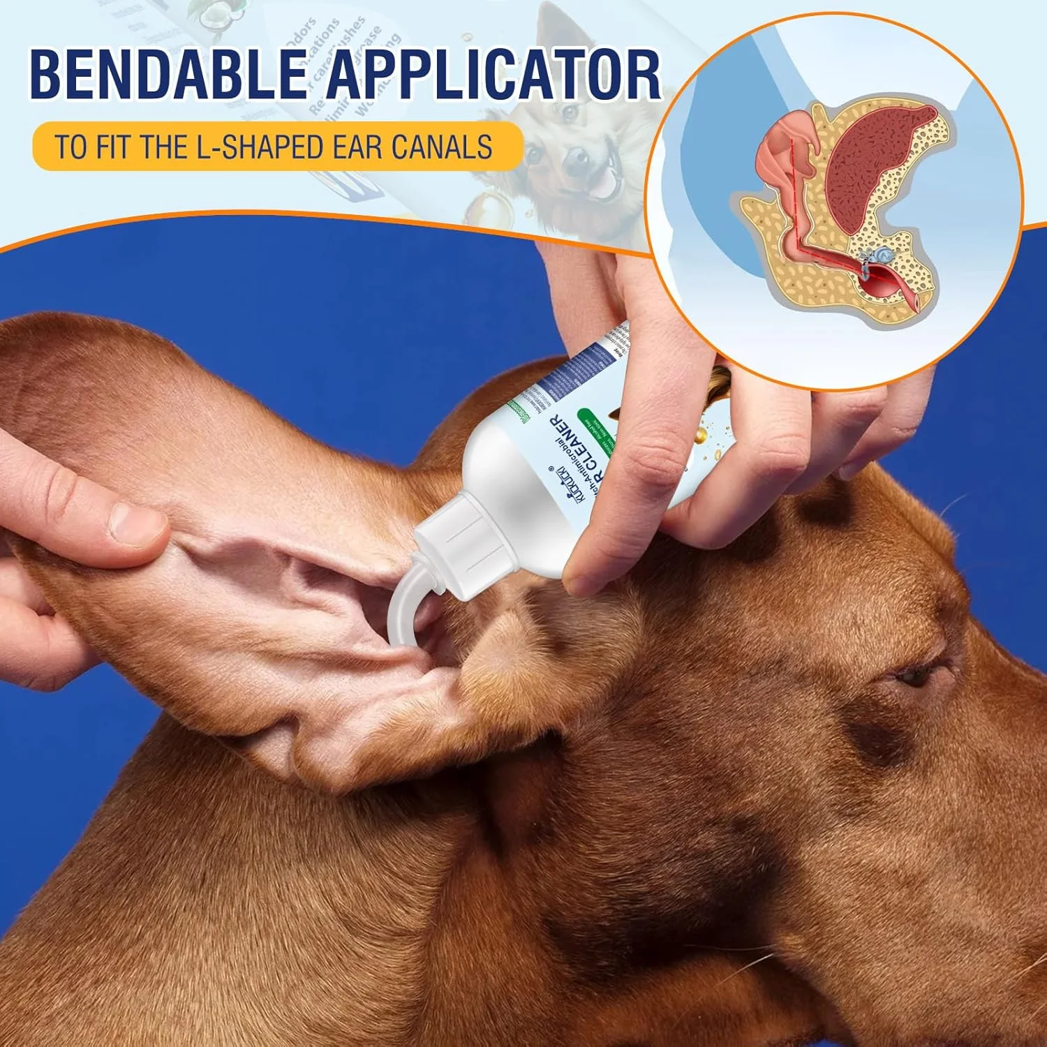 محلول پاک کننده گوش حیوانات خانگی با فرمول طبیعی 118 میلی لیتر، محلول ملایم برای مراقبت از گوش، درمان عفونت گوش سگ به همراه 10 عدد گوش پاک کن