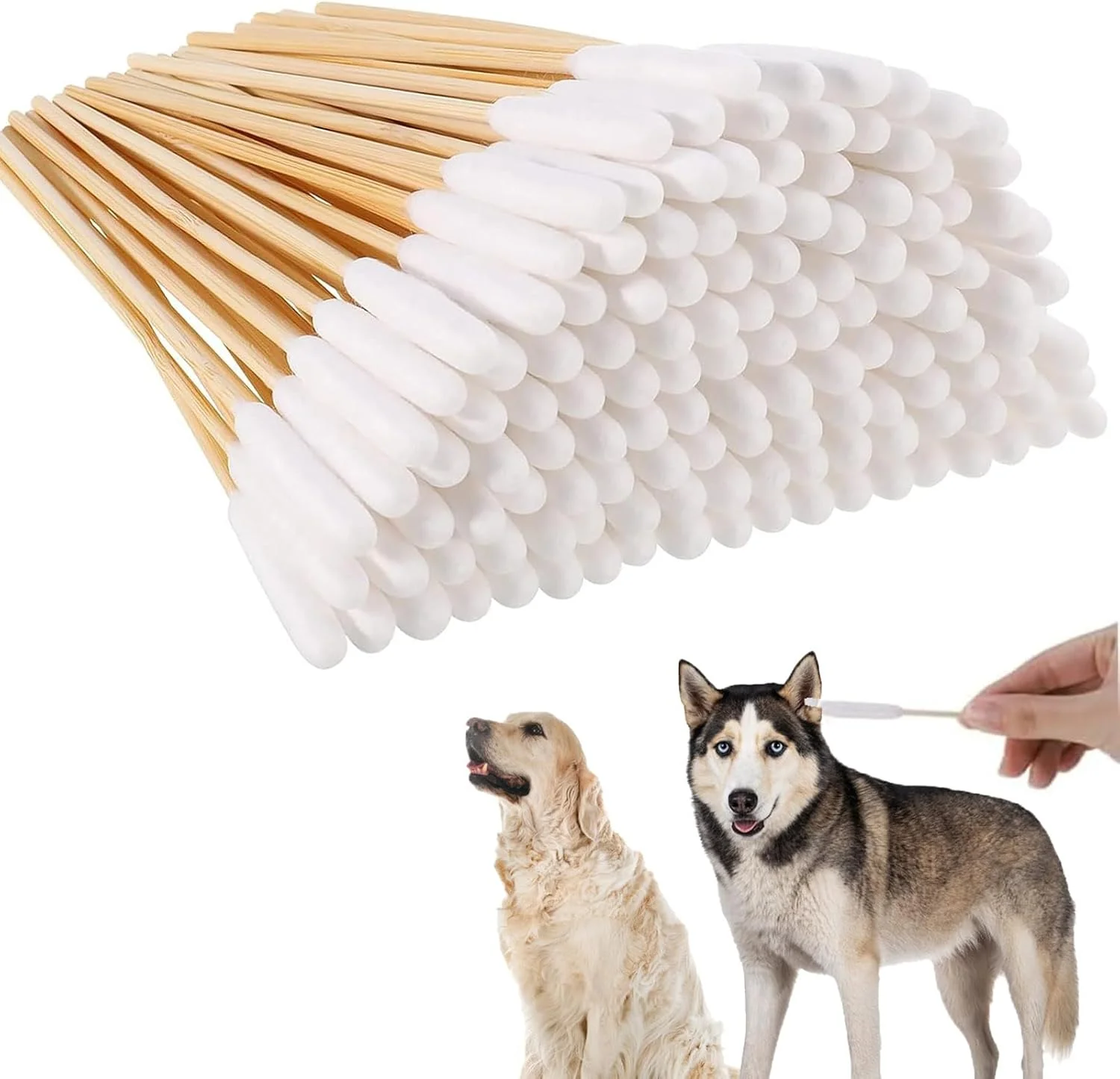 بسته 200 عددی گوش پاک کن پنبه ای سگ، گوش پاک کن سگ، پاک کننده گوش، پاک کننده گوش حیوانات خانگی، چوب های بلند پاک کننده گوش، چوب های پاک کننده گوش سگ، چوب های پاک کننده گوش برای سگ های حیوانات خانگی بسته 200 عددی گوش پاک کن پنبه ای سگ، گوش پاک کن سگ، پاک کننده گوش، پاک کننده گوش حیوانات خانگی، چوب های بلند پاک کننده گوش، چوب های پاک کننده گوش سگ، چوب های پاک کننده گوش برای سگ های حیوانات خانگی