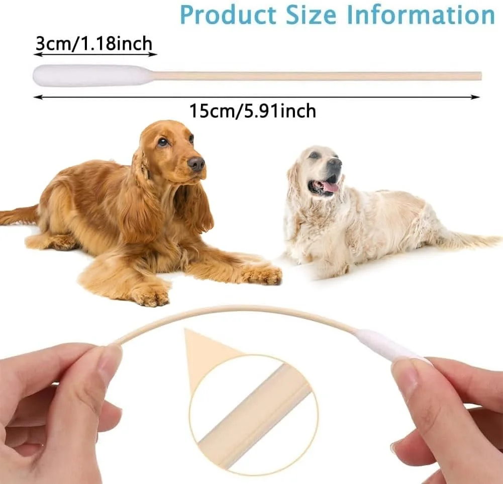 بسته 200 عددی گوش پاک کن پنبه ای سگ، گوش پاک کن سگ، پاک کننده گوش، پاک کننده گوش حیوانات خانگی، چوب های بلند پاک کننده گوش، چوب های پاک کننده گوش سگ، چوب های پاک کننده گوش برای سگ های حیوانات خانگی بسته 200 عددی گوش پاک کن پنبه ای سگ، گوش پاک کن سگ، پاک کننده گوش، پاک کننده گوش حیوانات خانگی، چوب های بلند پاک کننده گوش، چوب های پاک کننده گوش سگ، چوب های پاک کننده گوش برای سگ های حیوانات خانگی